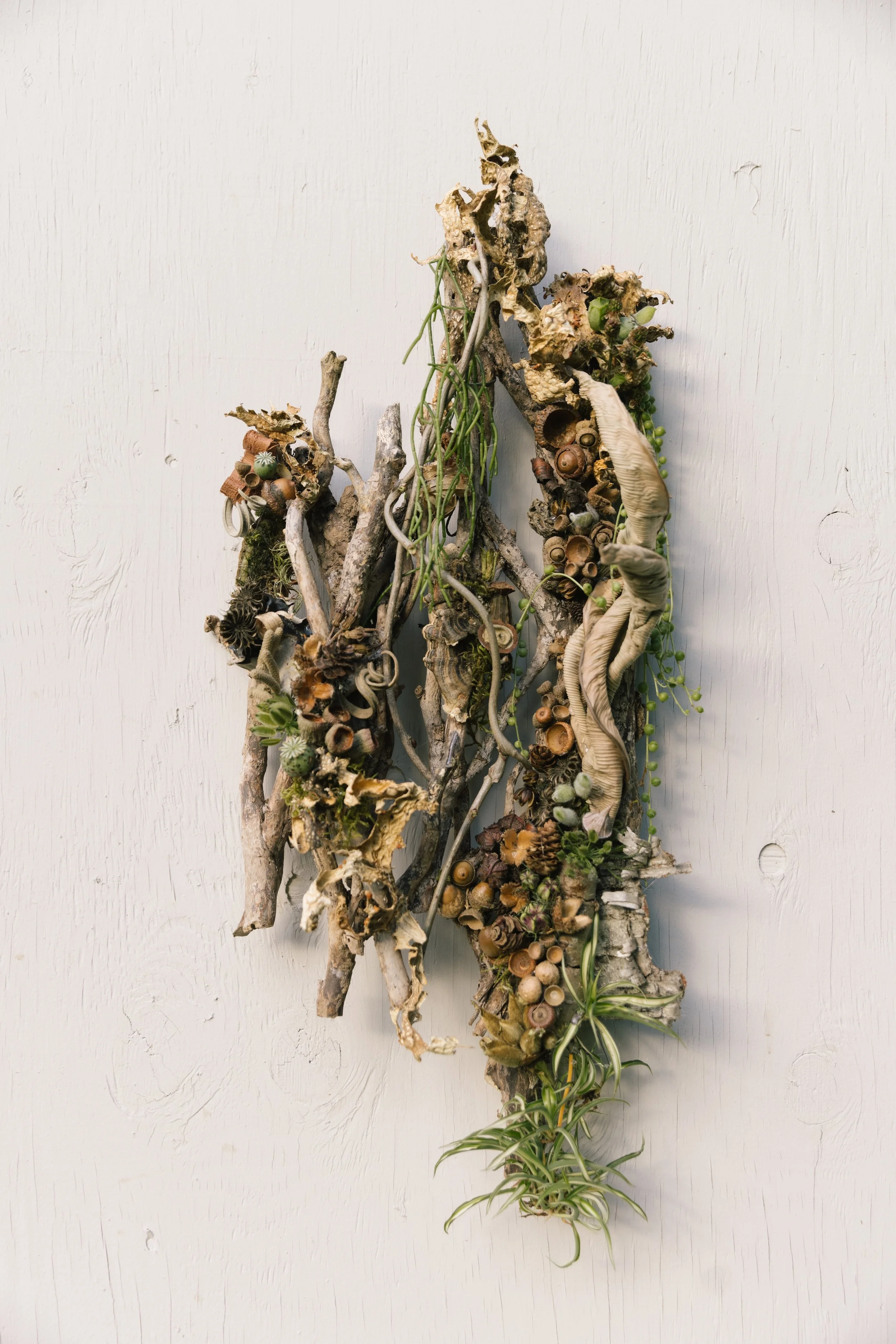 Francoise Weeks botanical design woodland design 6