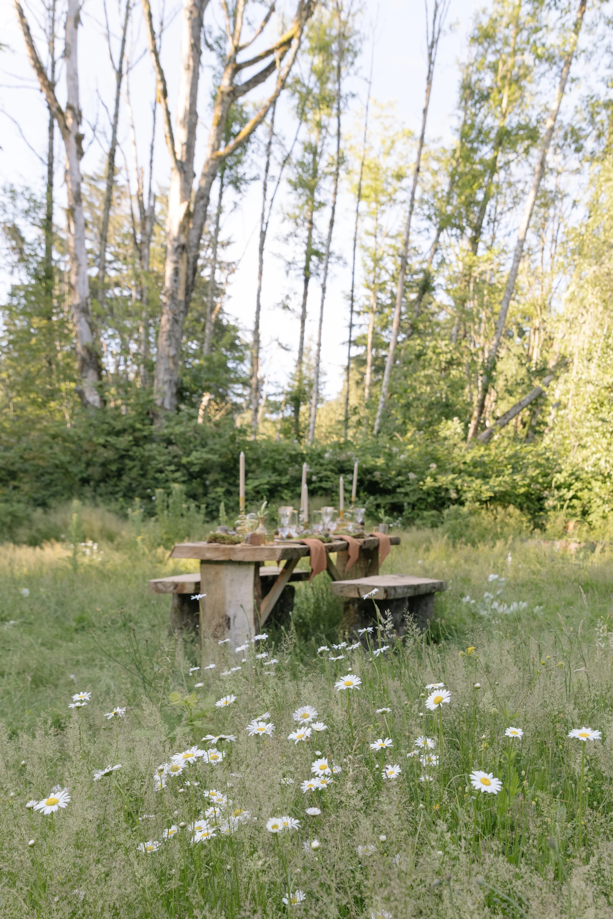 Francoise Weeks botanical design woodland design 147