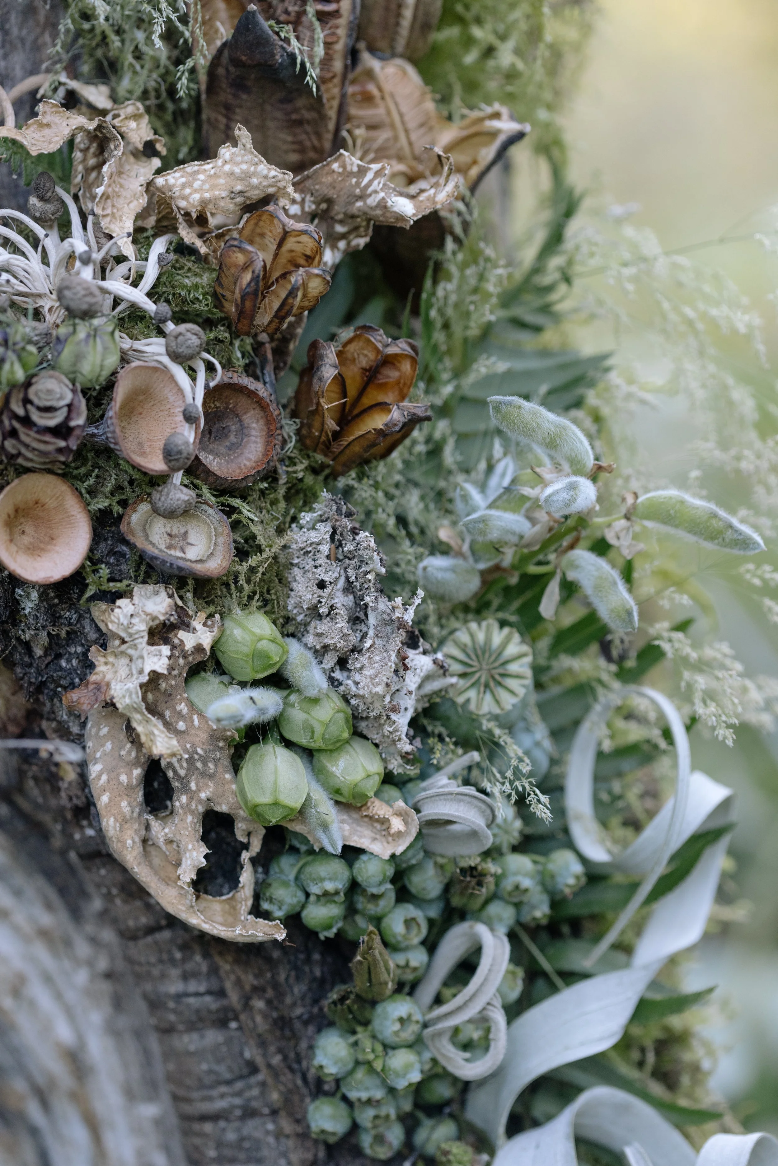 Francoise Weeks botanical design woodland design 12