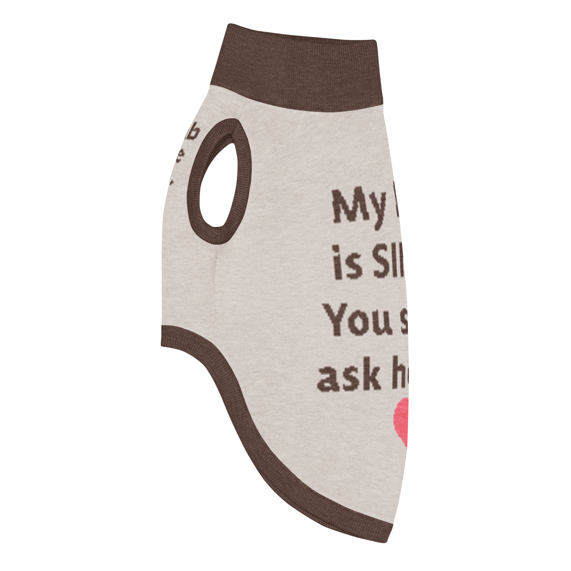 Grab Life Company knit pet sweater in tan with dark brown trim and words that say My mom is single you should ask her out written on the back. Image shows the sweater from the left side.