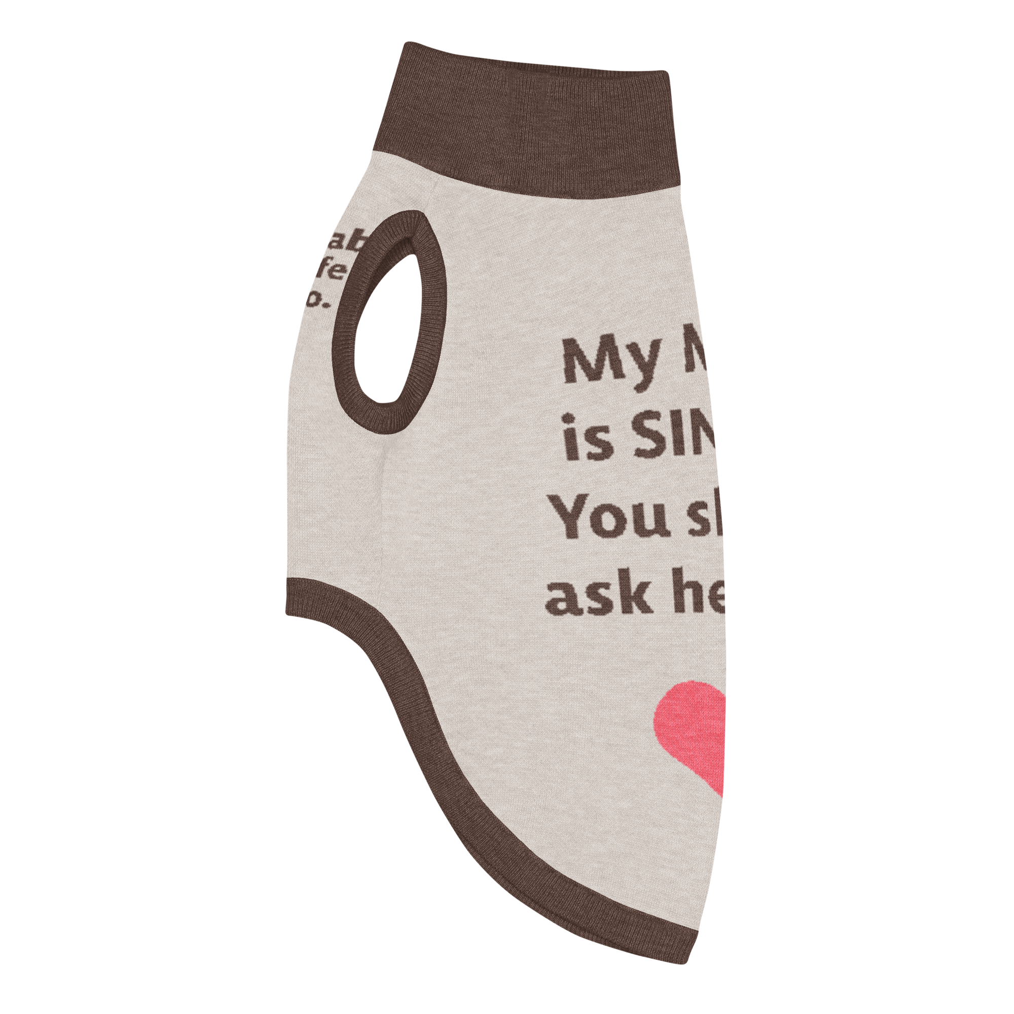 Grab Life Company knit pet sweater in tan with dark brown trim and words that say My mom is single you should ask her out written on the back. Image shows the sweater from the left side.