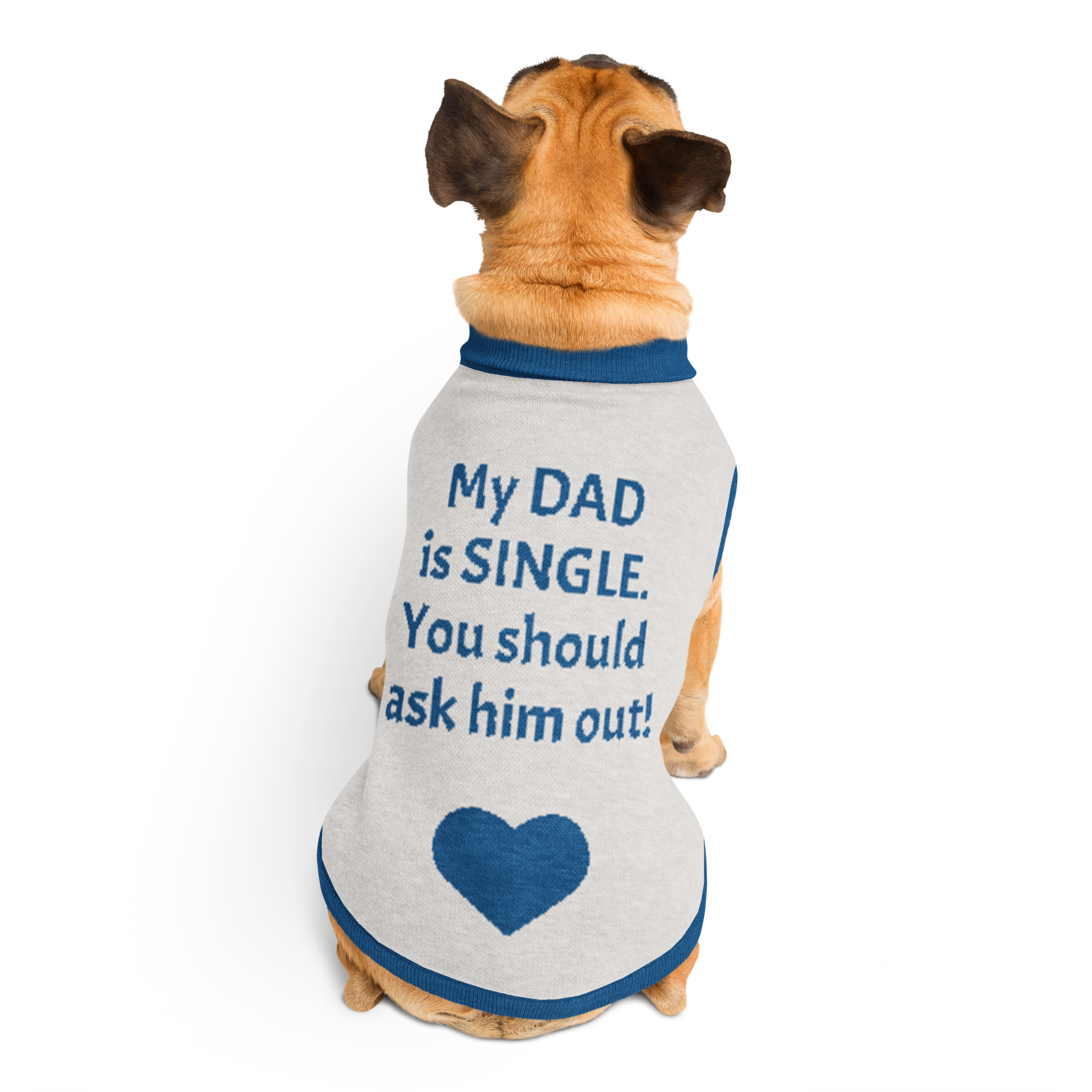 Grab Life Company knitted pet sweater in tan with dark blue trim and words that say my dad is single you should ask him out written on the back. Image shows a dog from the back wearing the sweater.