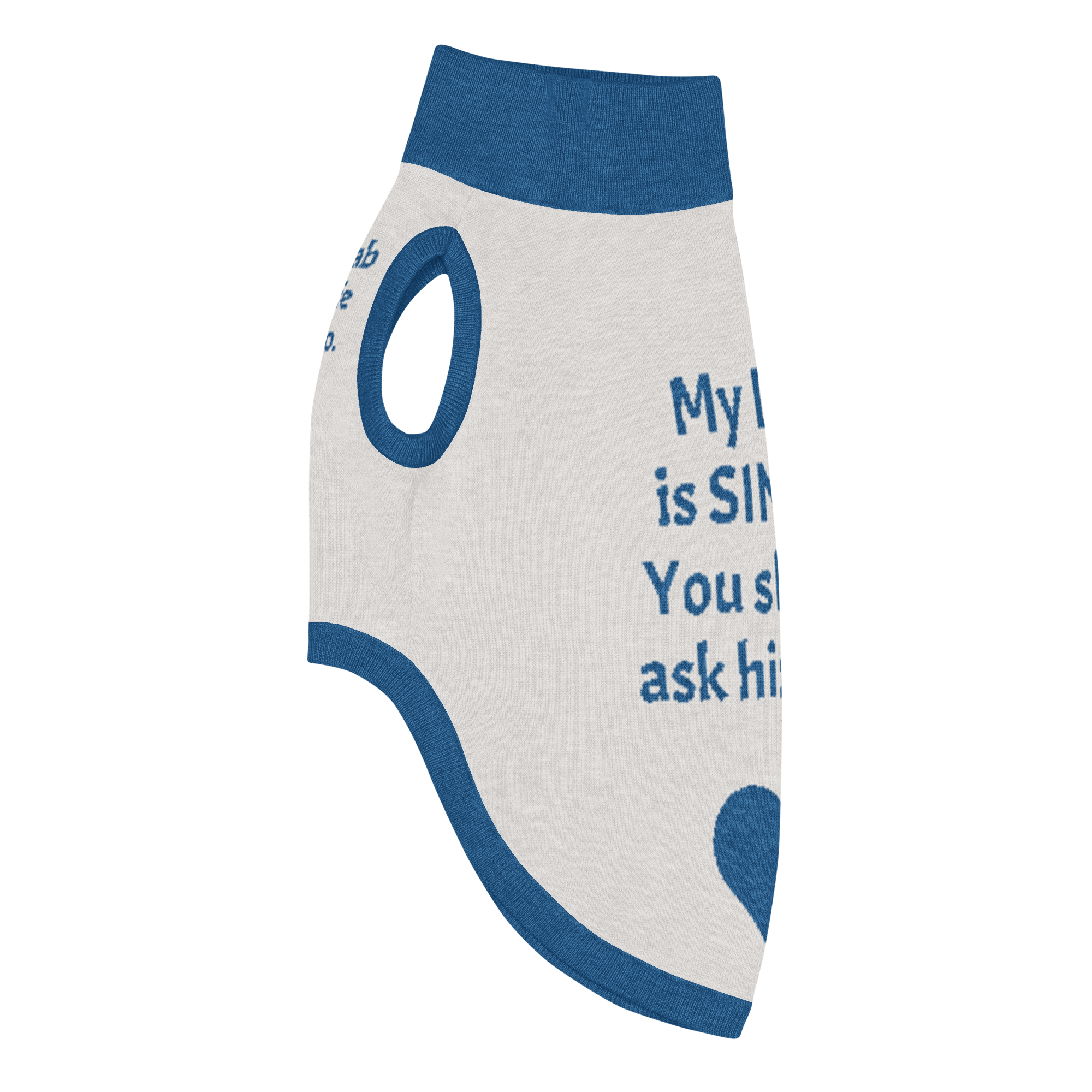 Grab Life Company knitted pet sweater in tan with dark blue trim and words that say my dad is single you should ask him out written on the back. Image shows the left side of the sweater.