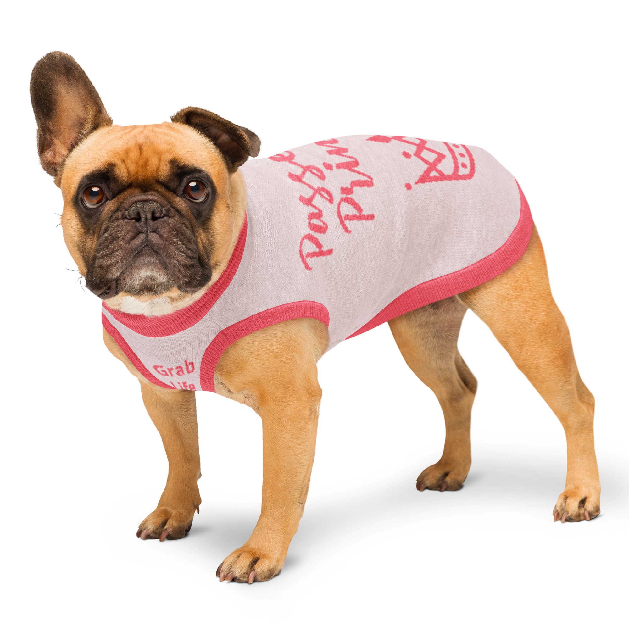 Grab Life Company knitted pet sweater in light pink with bright pink trim and words that say Passenger Princess written on the back. Image shows a dog standing up wearing the sweater.