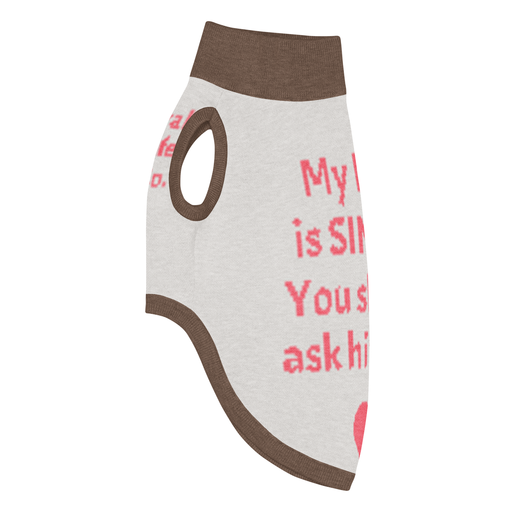 Grab Life Company knitted pet sweater in tan with brown trim and words that say My Dad is single. You should ask him out. written on the back in pink. Image shows the pet sweater from the side.