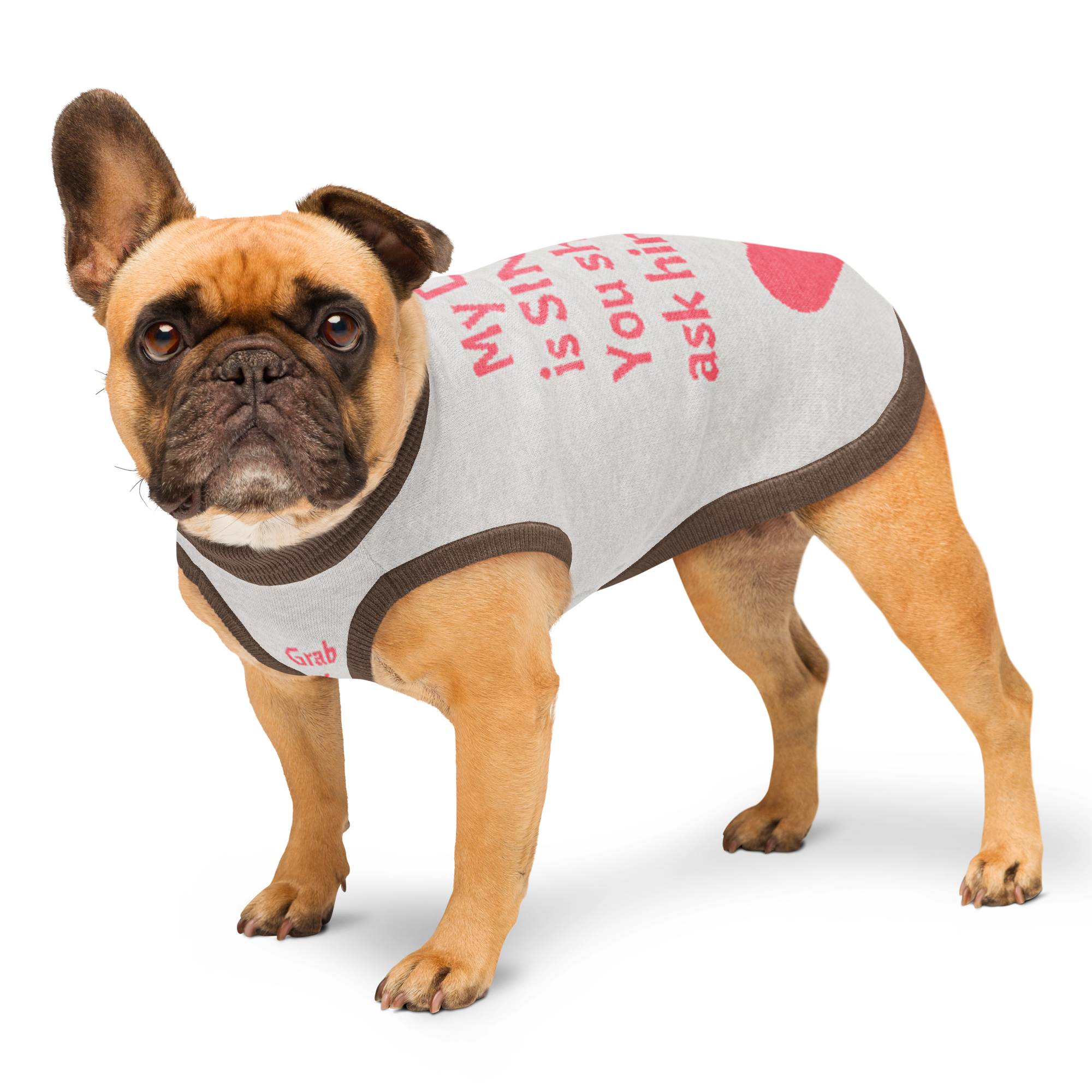 Grab Life Company knitted pet sweater in tan with brown trim and words that say My Dad is single. You should ask him out. written on the back in pink. Image shows a dog wearing the pet sweater.