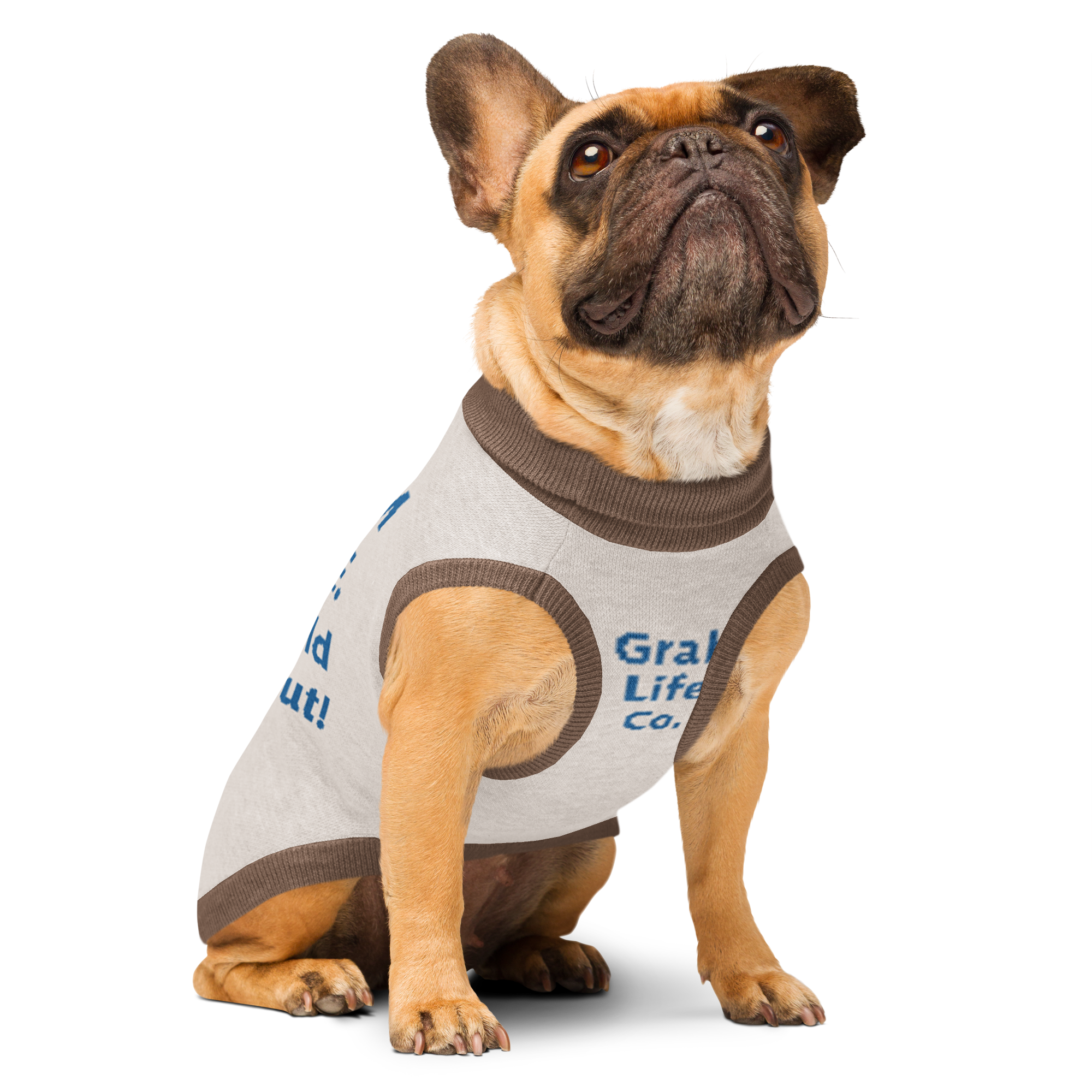 Grab Life Company knitted pet sweater in tan with blue trim and words that say My mom is single. You should ask her out. written on the back in blue. Image shows dog wearing the sweater.
