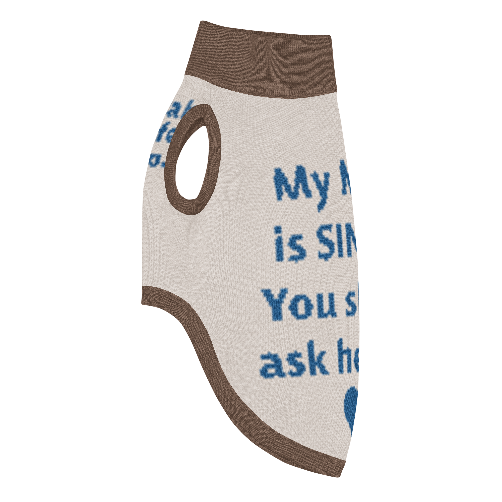 Grab Life Company knitted pet sweater in tan with blue trim and words that say My mom is single. You should ask her out. written on the back in blue. Image shows the sweater from the side.