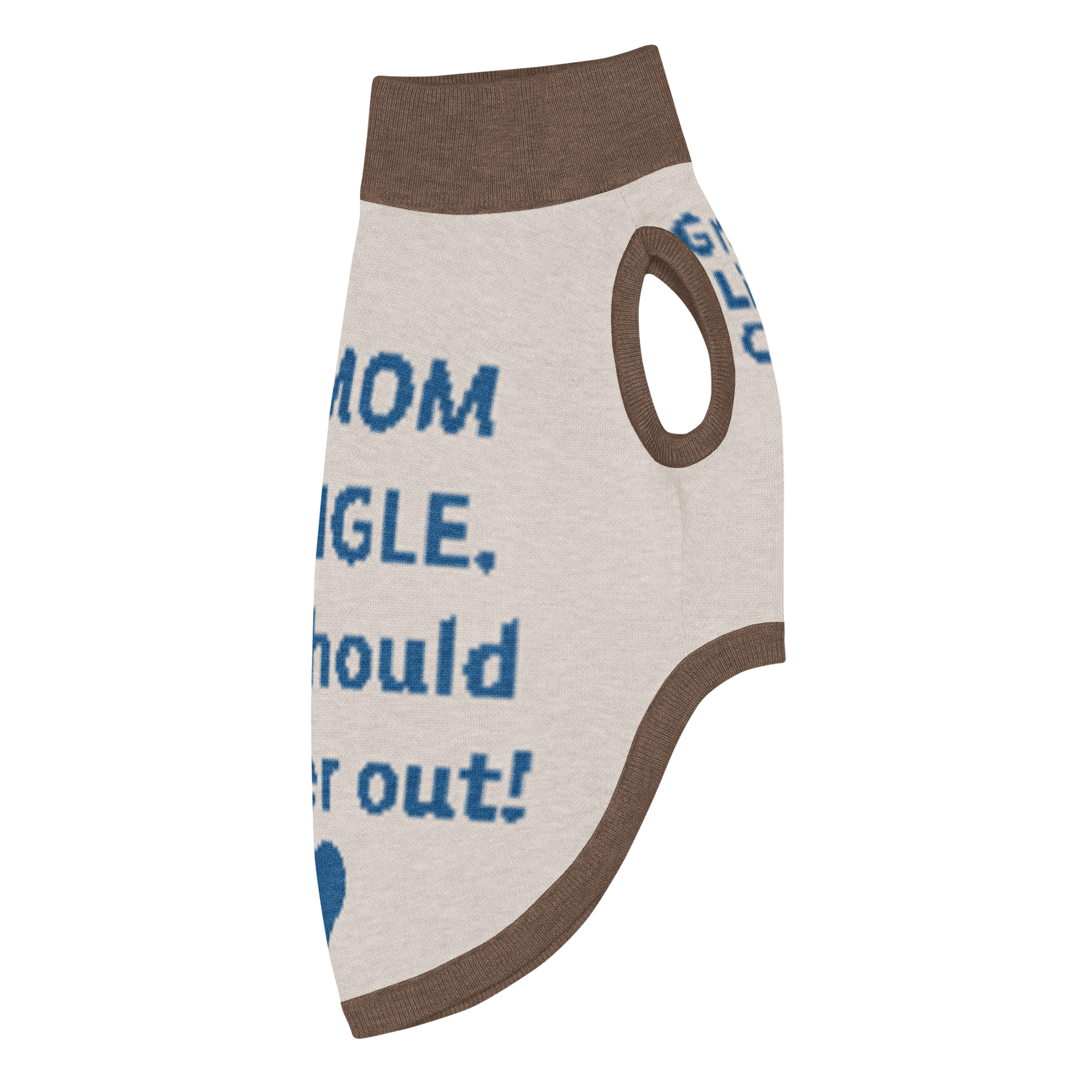 Grab Life Company knitted pet sweater in tan with blue trim and words that say My mom is single. You should ask her out. written on the back in blue. Image shows the sweater from the side.