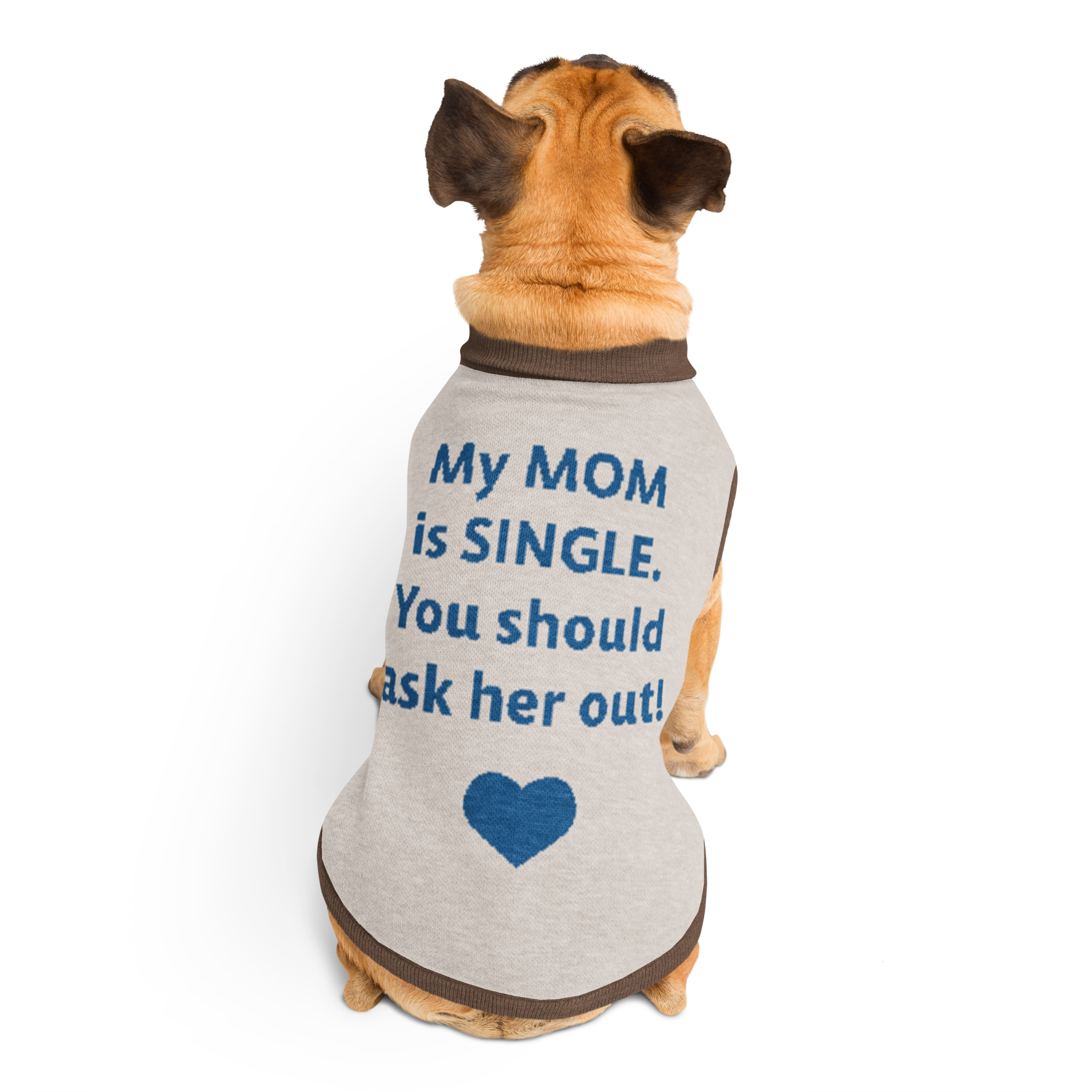 My MOM is SINGLE | Grab Life Company knitted pet sweater in Blue