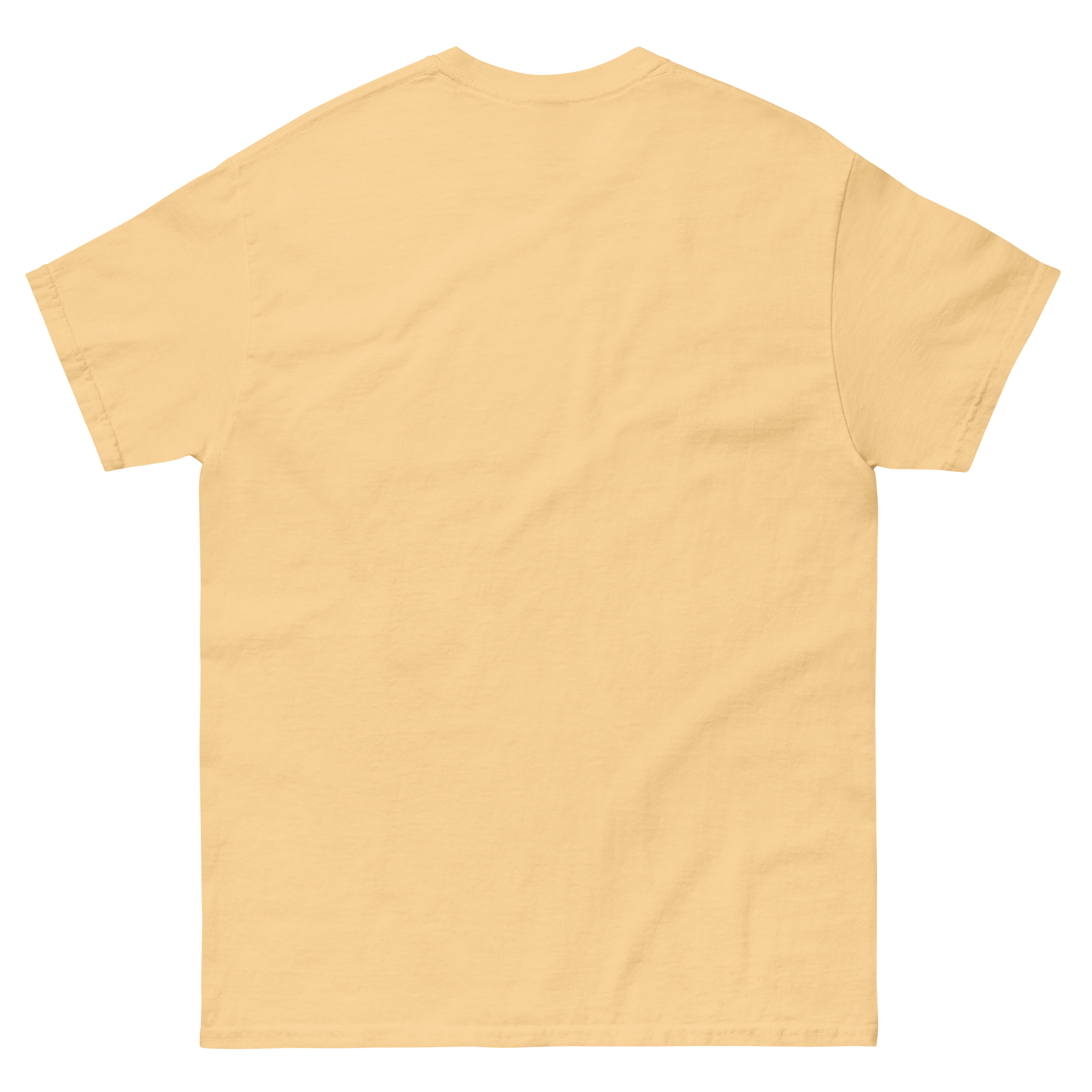 Grab Life Company t-shirt with But First You Must LEAP printed in black on front of yellow haze shirt. Image shows back of shirt.