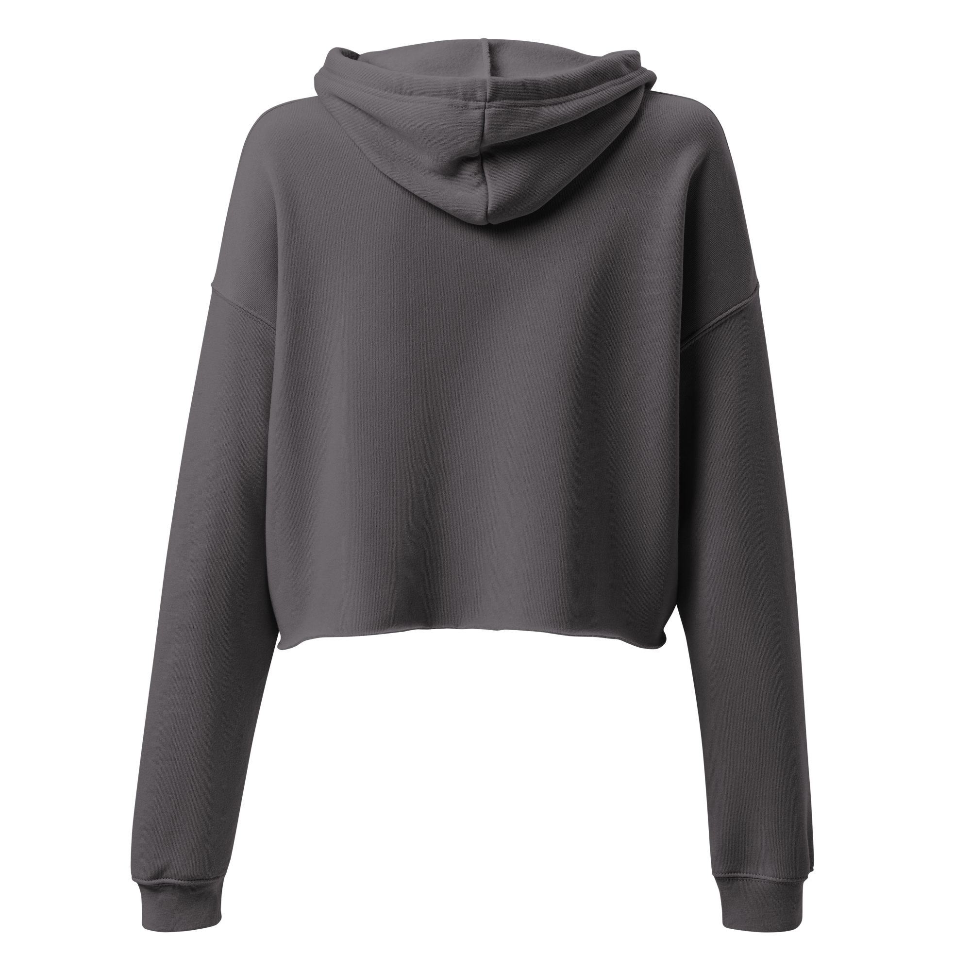 Grab Life Company cropped hoodie with Friends don't let Friends use Dating Apps printed on the front in pink on grey sweatshirt. Image shows the back.