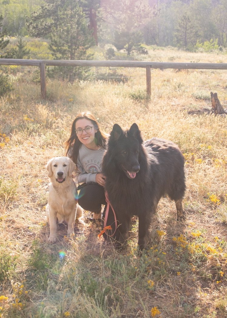 The owner of Fable Marketing Co, a marketing and branding business, with glasses smiling and sitting in a grassy field, accompanied by a golden retriever and a black german shepherd, bathed in soft sunlight during daytime.