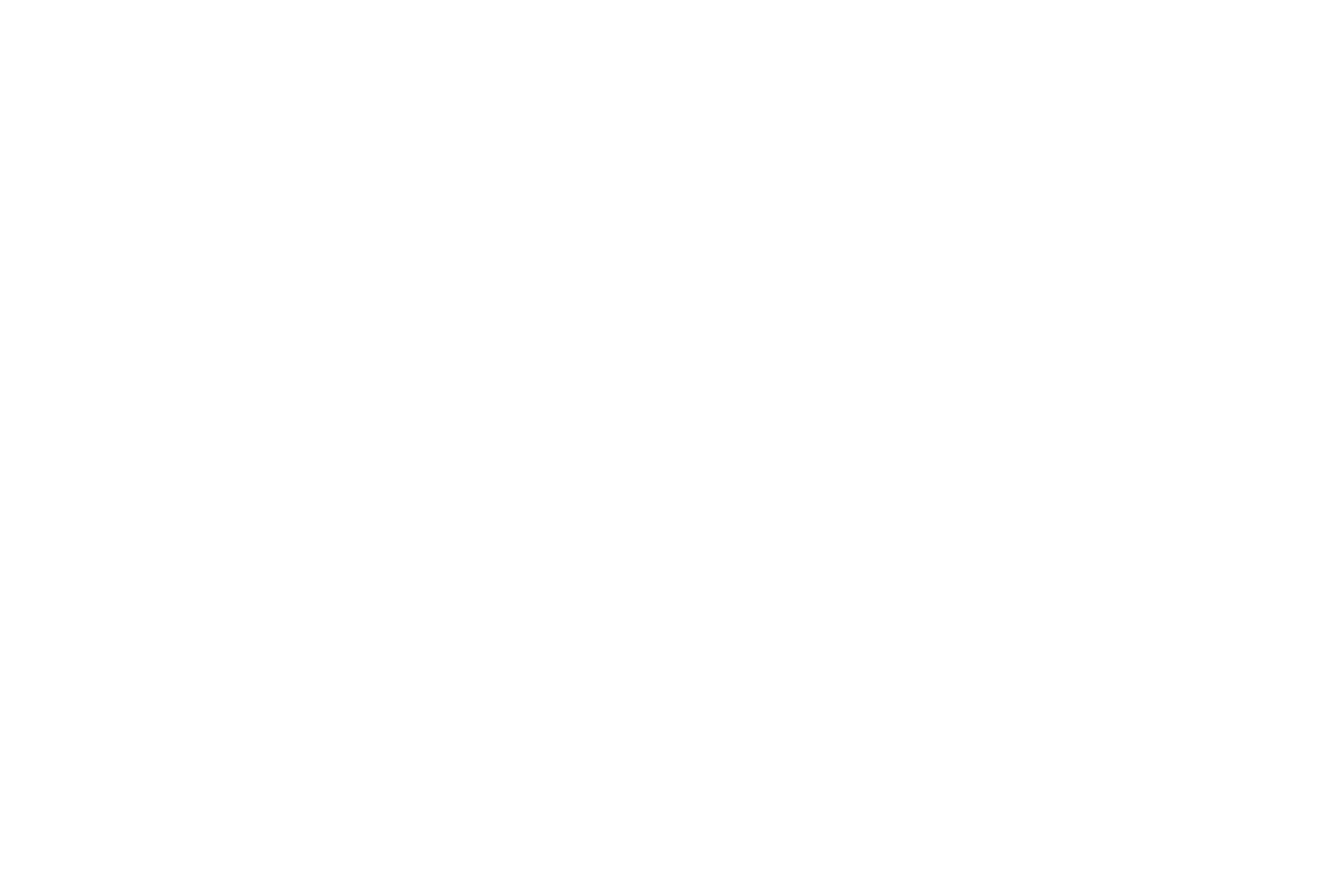 Logo for Fable Marketing Co. featuring a silhouette of a sitting fox and stylized text that says Fable Marketing Co