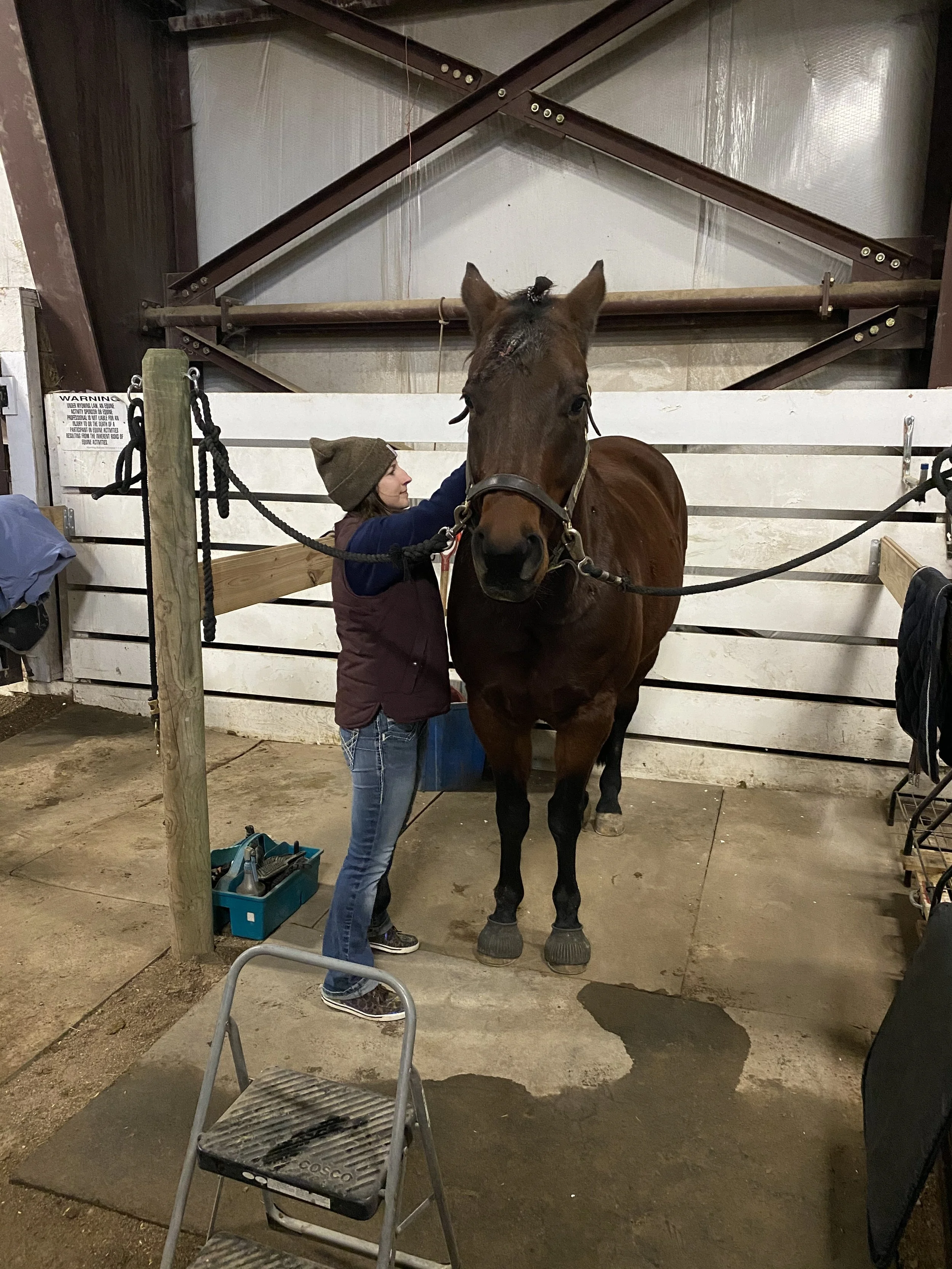 Preparing Ty for treatment with a spinal opening