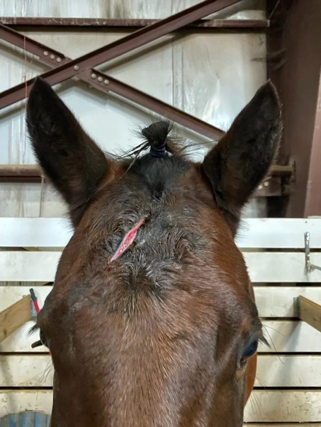Pink healthy tissue filling in around the edges after the first treatment