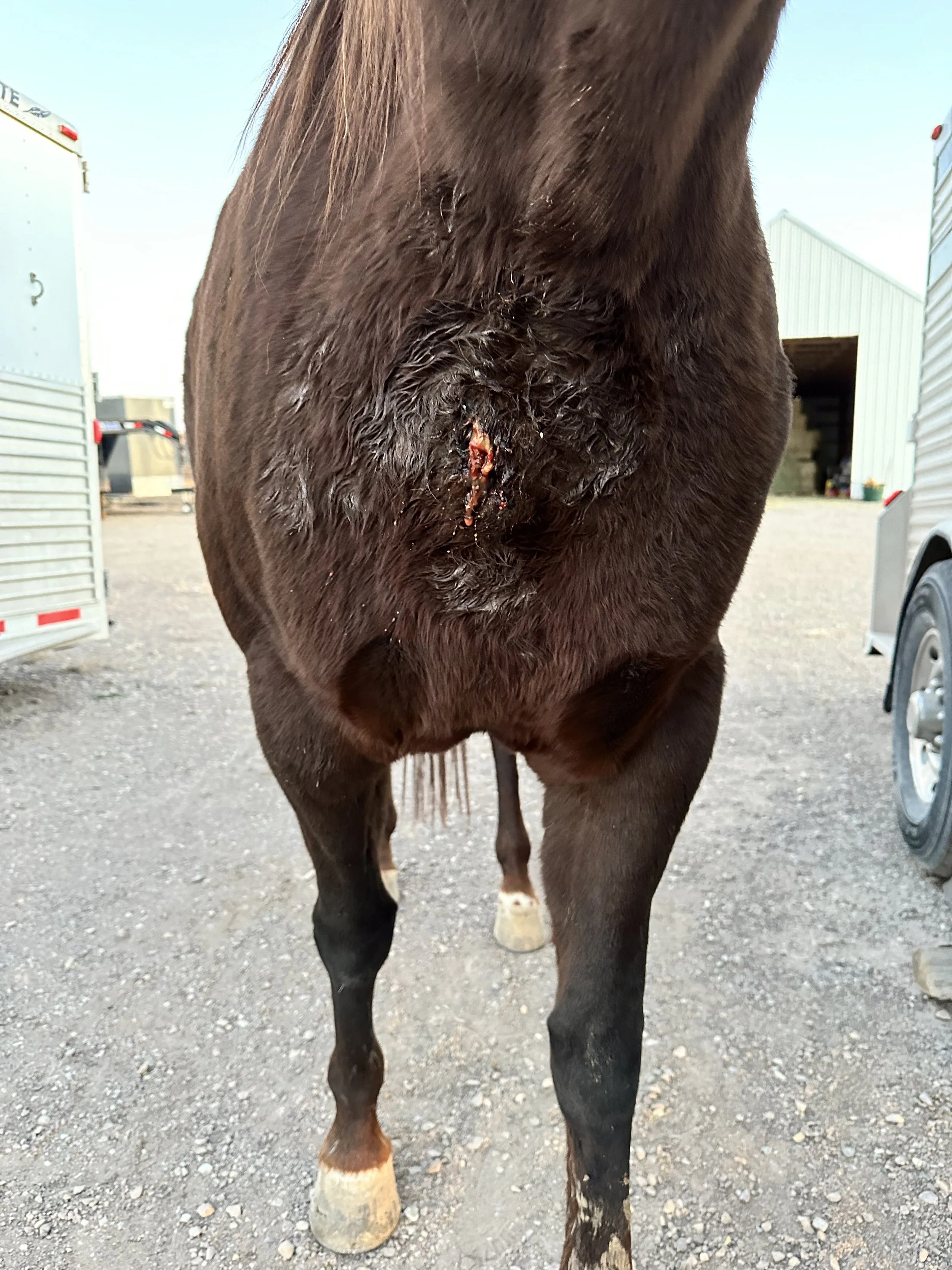 Abscess opening and draining