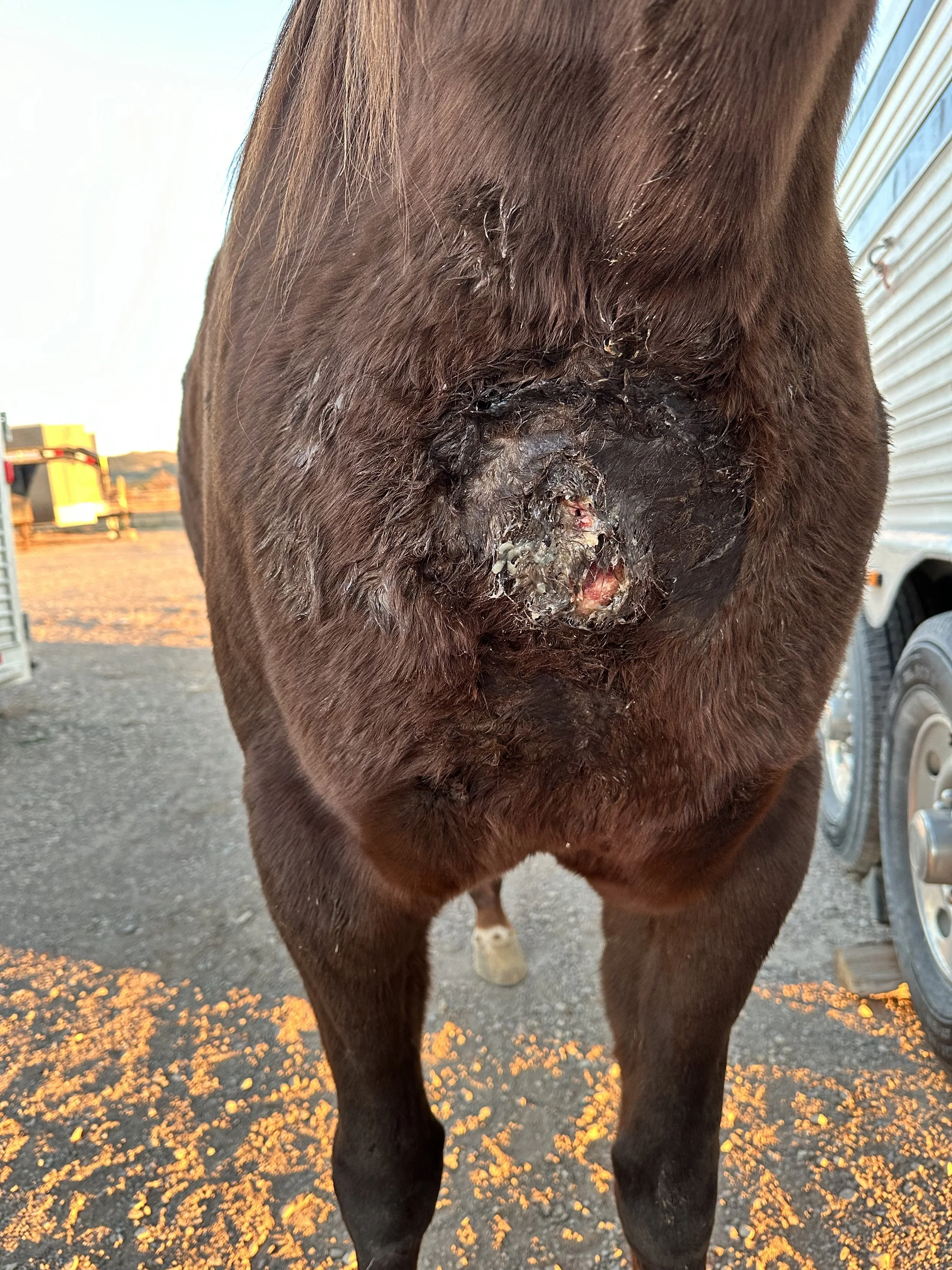 Abscess opened, 3rd treatment