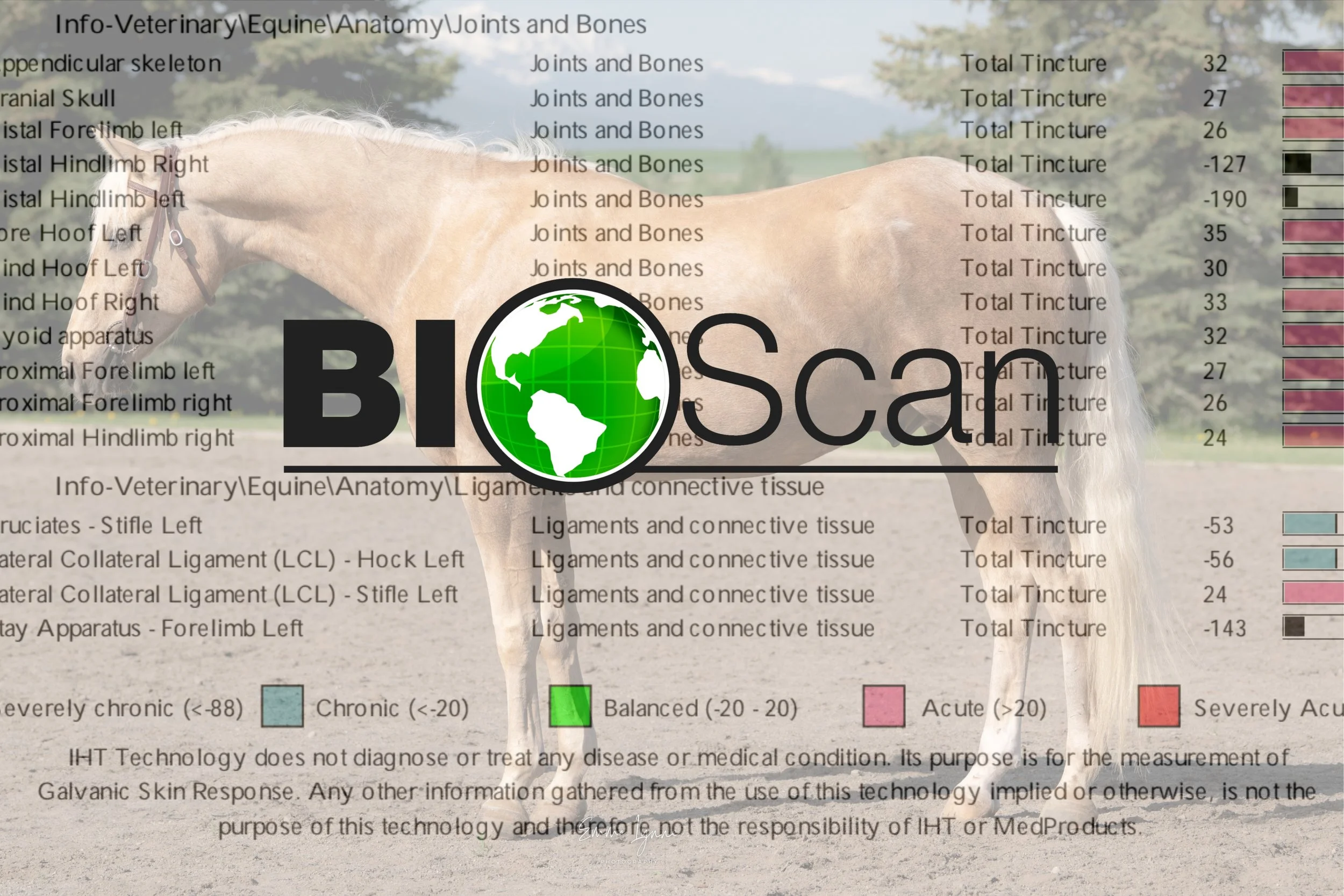 Hair Analysis - BioScan