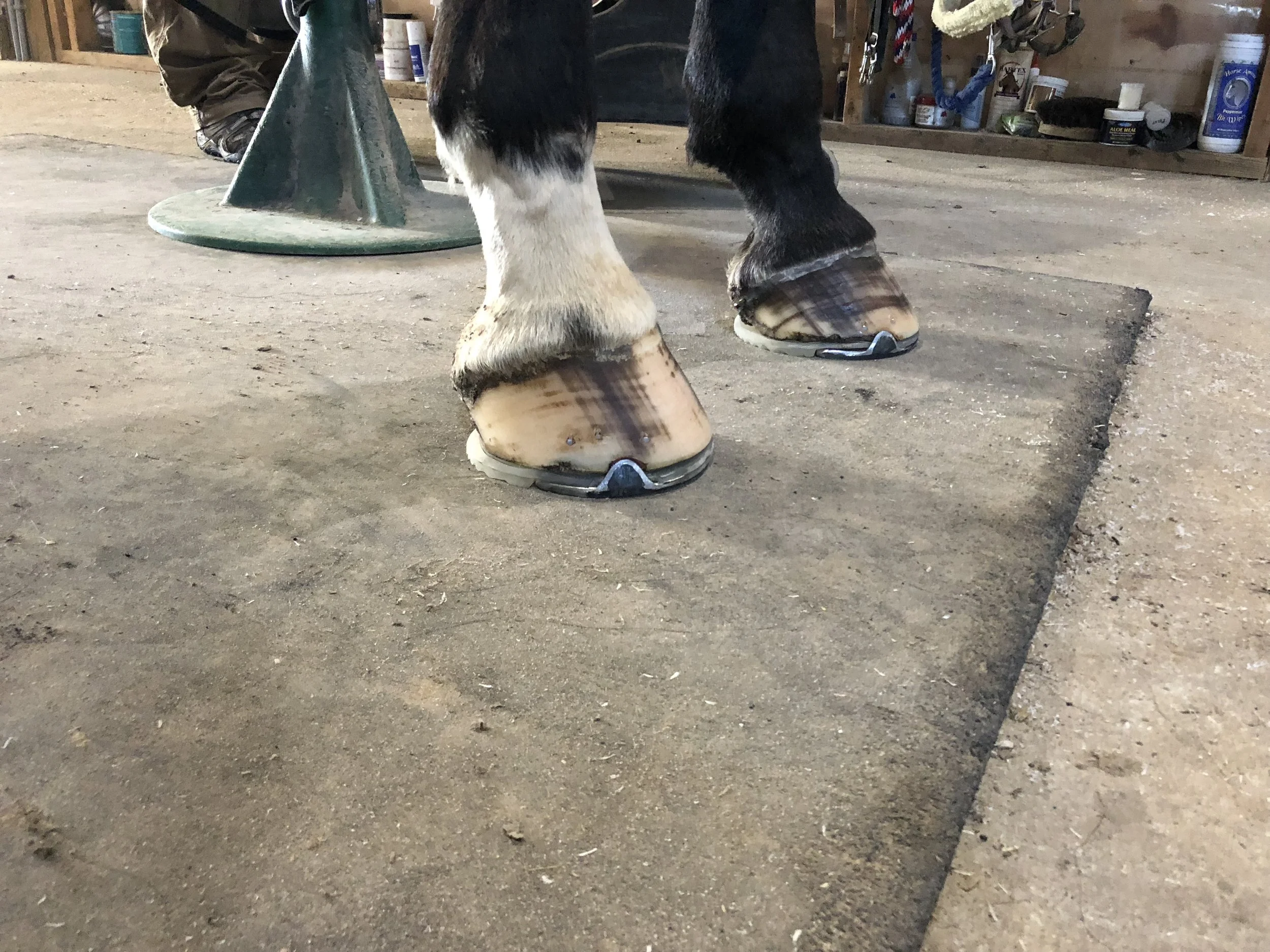 Corrective shoeing - into "flip flops"