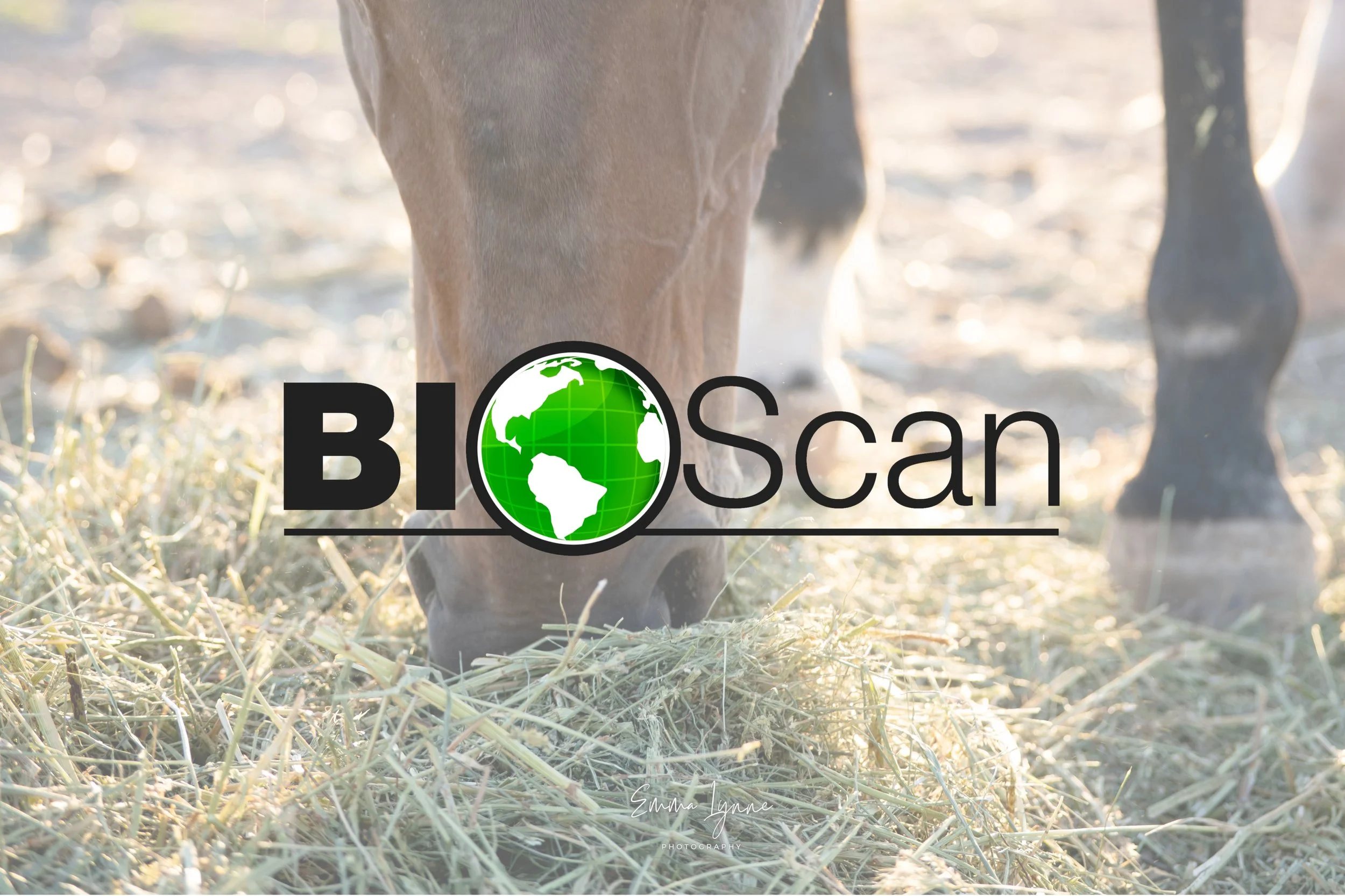 BioScan Web Image Feed.jpg
