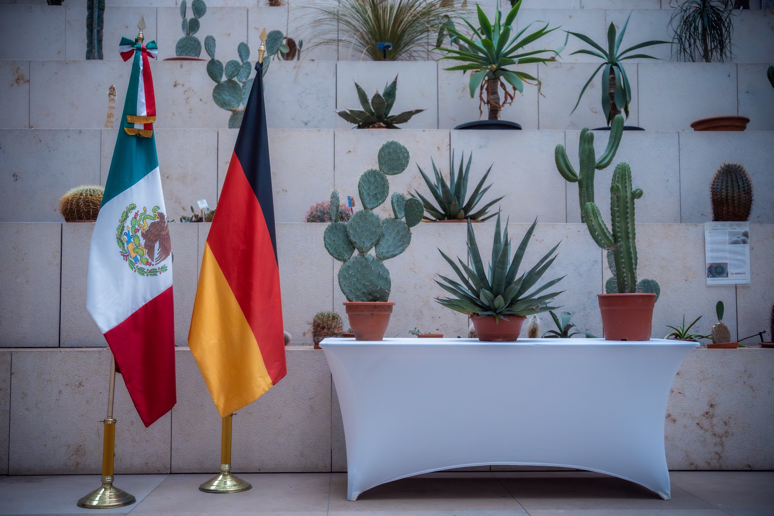 24 - 25-10-05 Mexican Agave Spirits Embamexale-06811.jpg