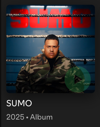 A young man in a camouflage jacket sitting in a boxing ring with the word 'SUMO' in large red letters behind him.