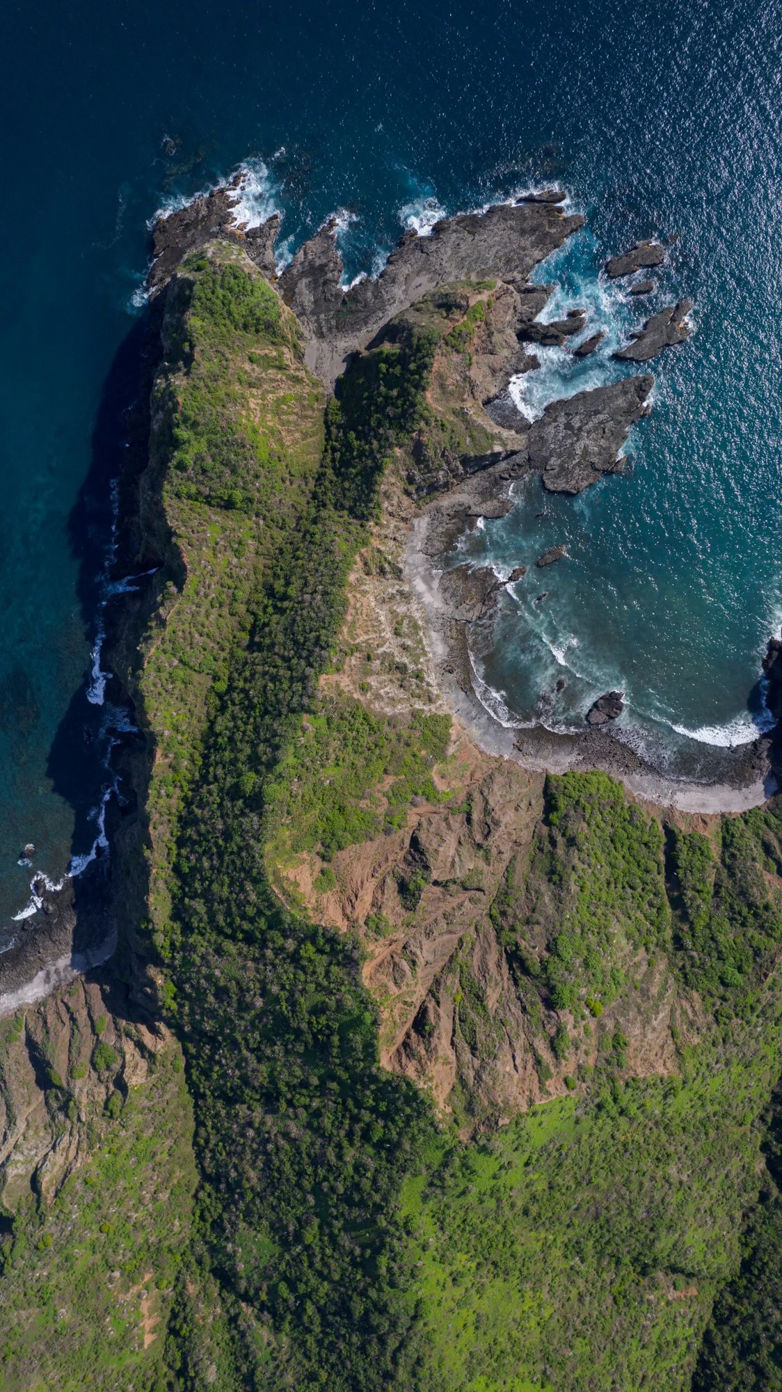 PRINT#1-ELEMENTAL COLLECTION