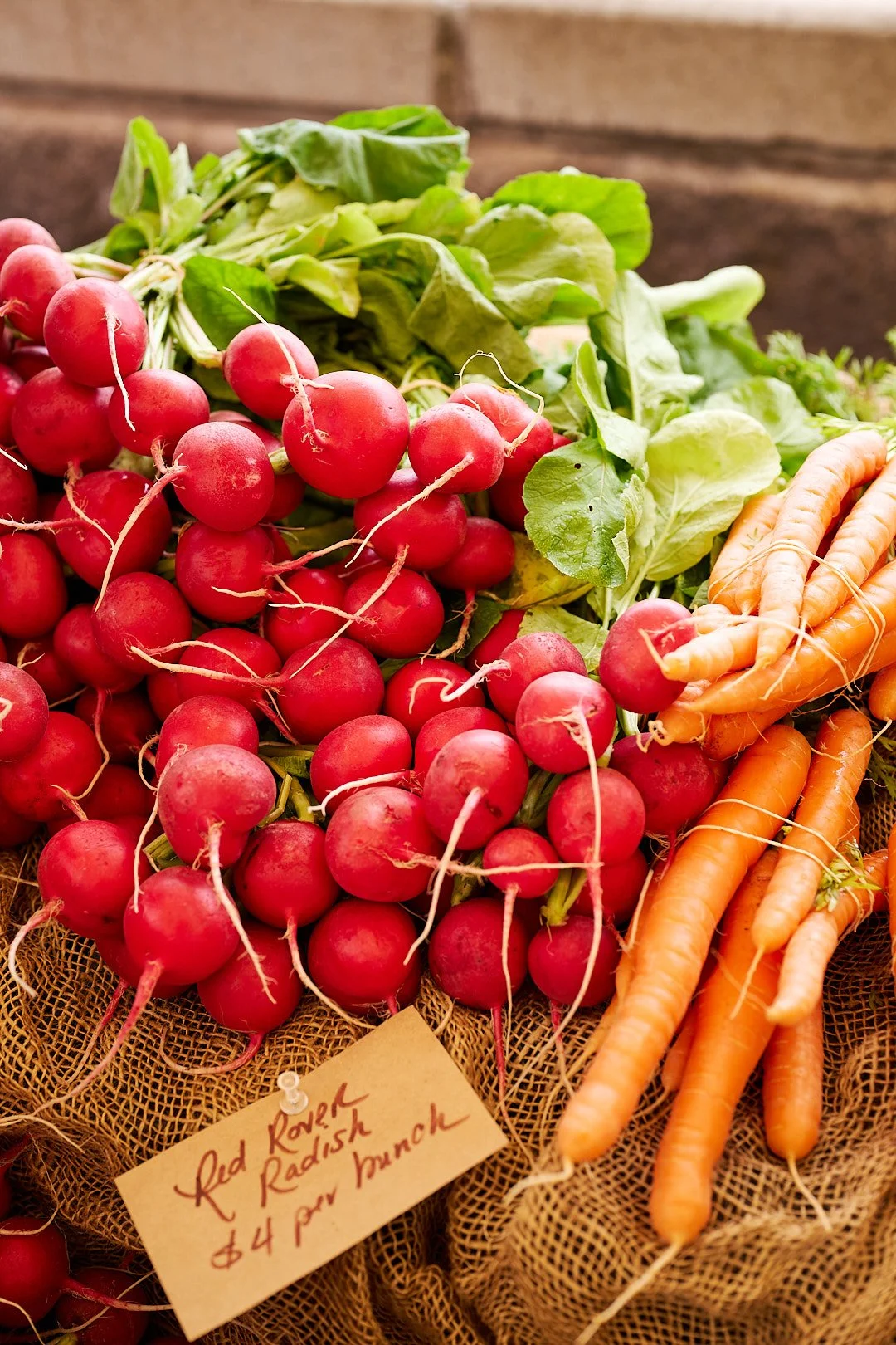 Fresh radishes and carrots displayed at a farmer's market. The radishes are red and bundled together, with a handwritten sign indicating their price. The carrots are orange and also bundled.