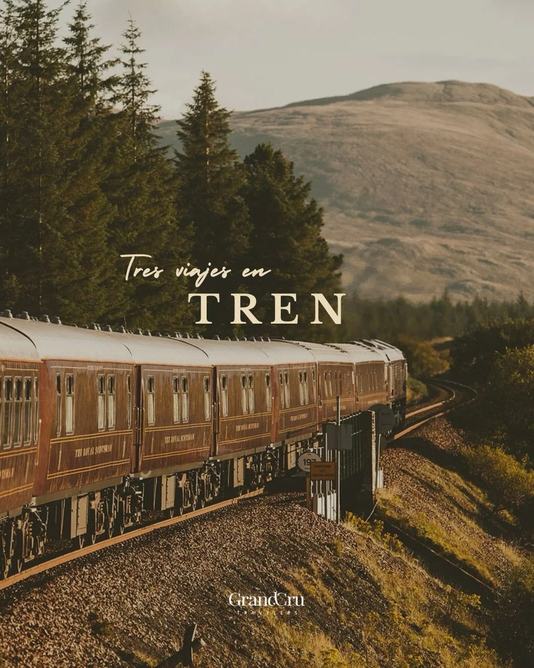 Hay viajes donde el trayecto es el destino. 

Desde los paisajes andinos en Per&uacute; hasta las Highlands escocesas y el Sudeste Asi&aacute;tico, estos trenes redefinen la forma de moverse. 

Cuando el ritmo importa tanto como el lugar al que llega