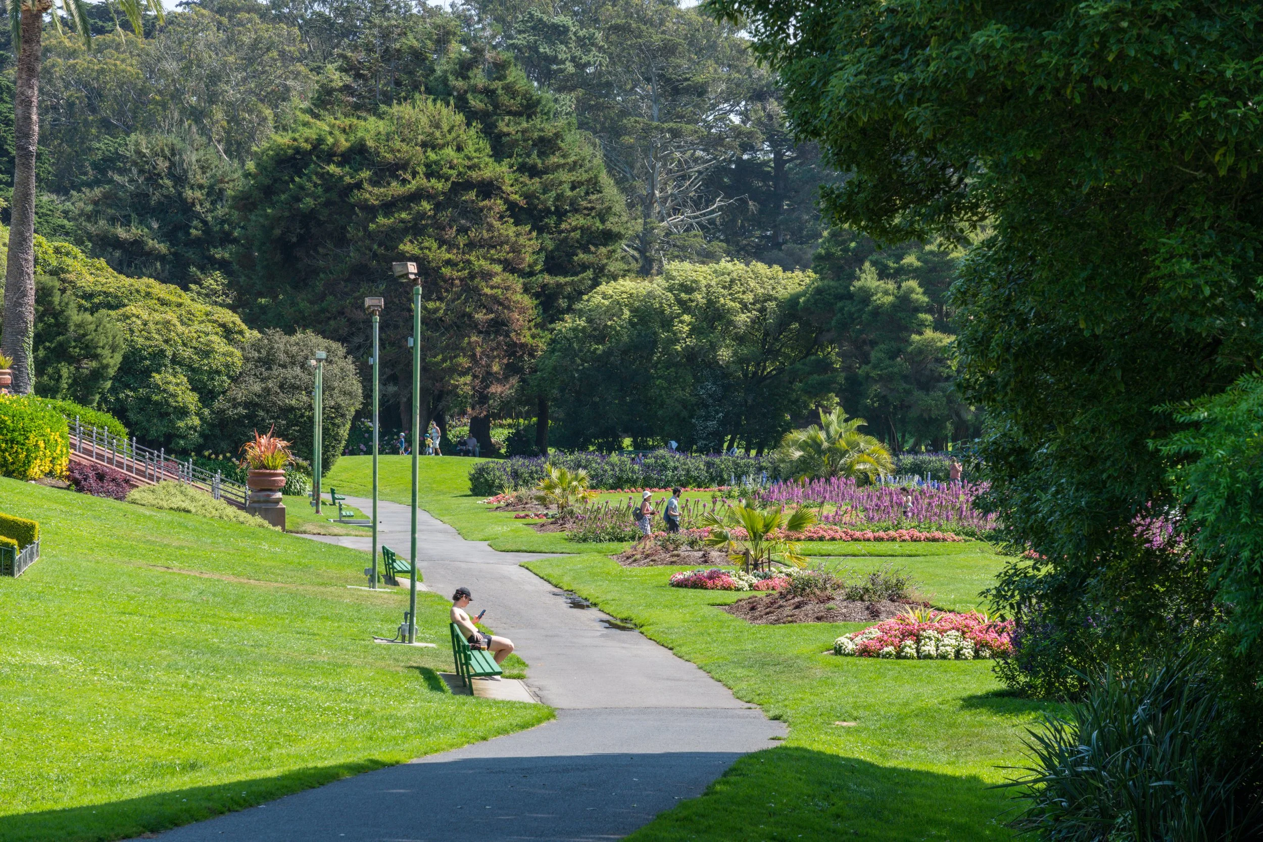 A park with a paved walking path, benches, lamp posts, and colorful flower beds, with trees and grassy areas in the background and a person sitting on a bench using a phone.