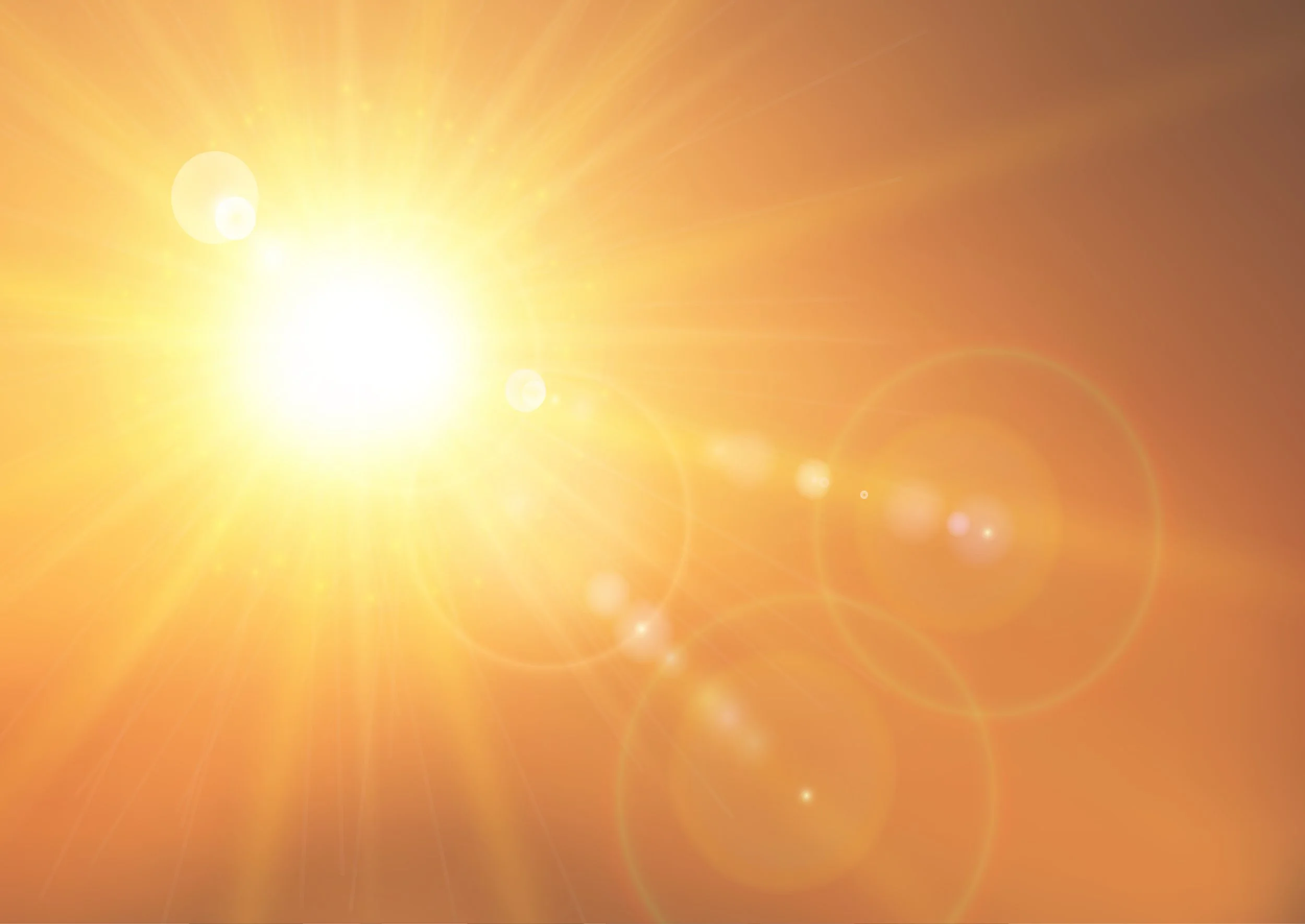 The Luminary (12-Month Immersion)