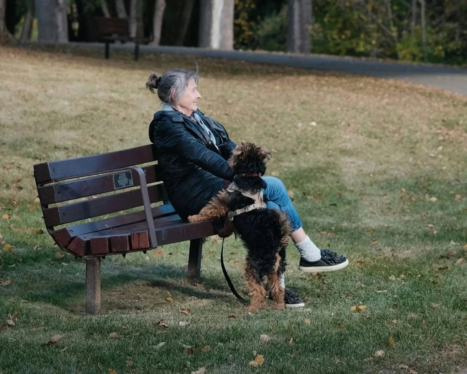 An elderly woman with gray hair tied in a bun, wearing a black jacket, denim jeans, and sneakers, sitting on a park bench in a grassy area, with her dog standing on its hind legs with front paws on her lap, looking up at her.