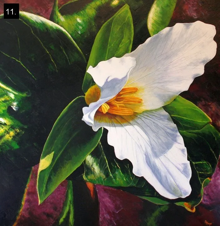 A white flower with yellow and orange stamens surrounded by large green leaves.