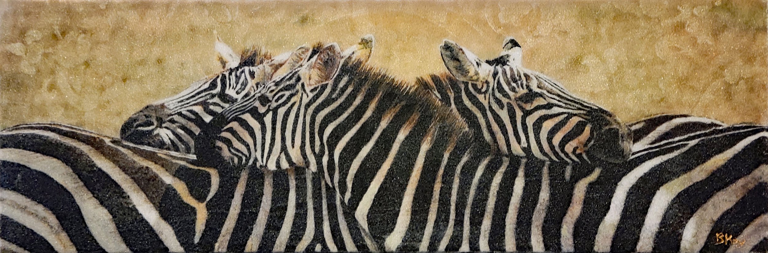 Two zebras lying close together, resting on the ground with their heads together, one zebra's head resting on the other's neck.