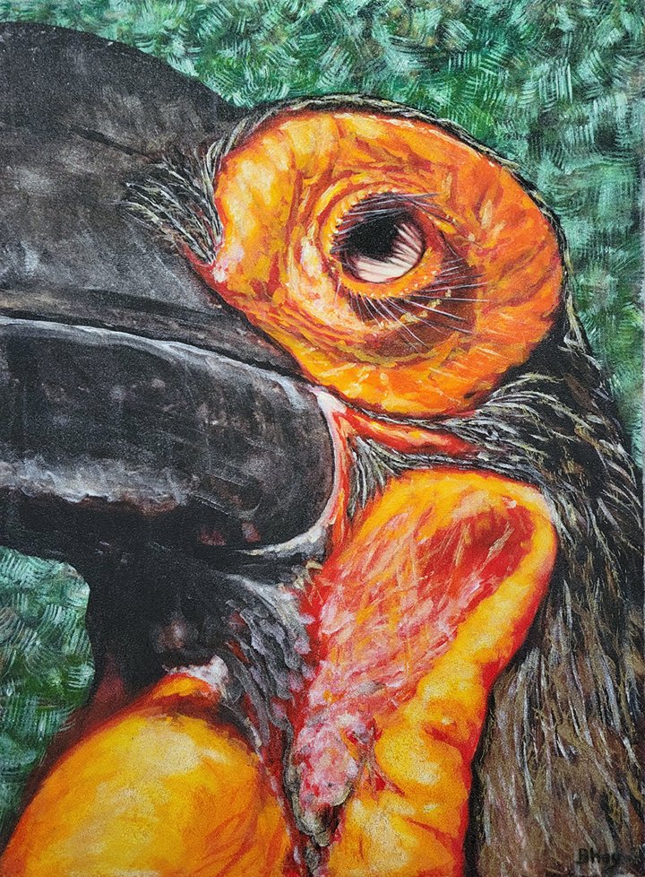 A painting of a bird, possibly a toucan, with a large black beak, bright orange face, eye, and chest, set against a green background.