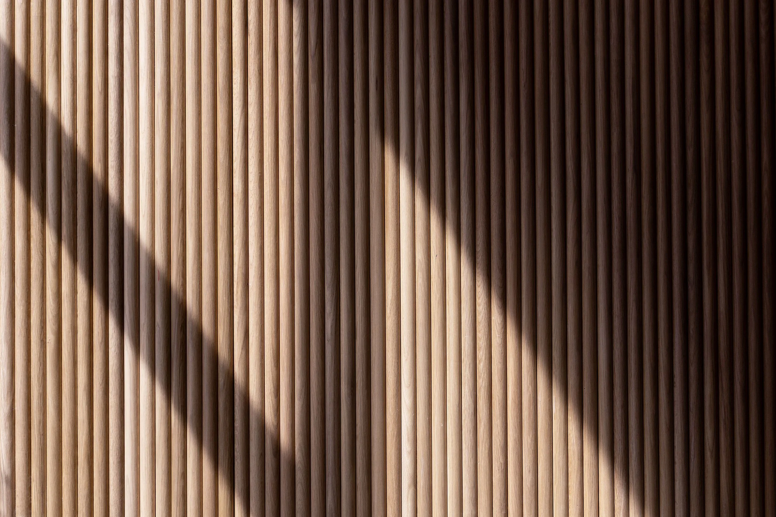 Tej Builds Feb 2026 84.jpg