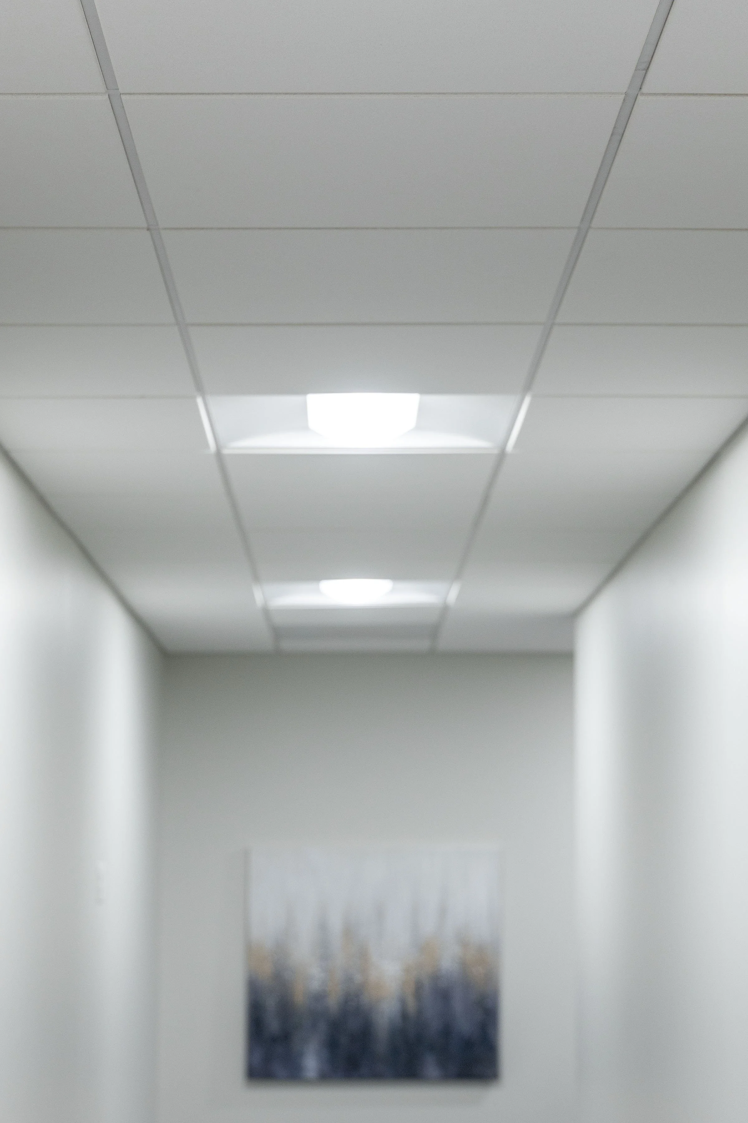 Tej Builds Feb 2026 12.jpg