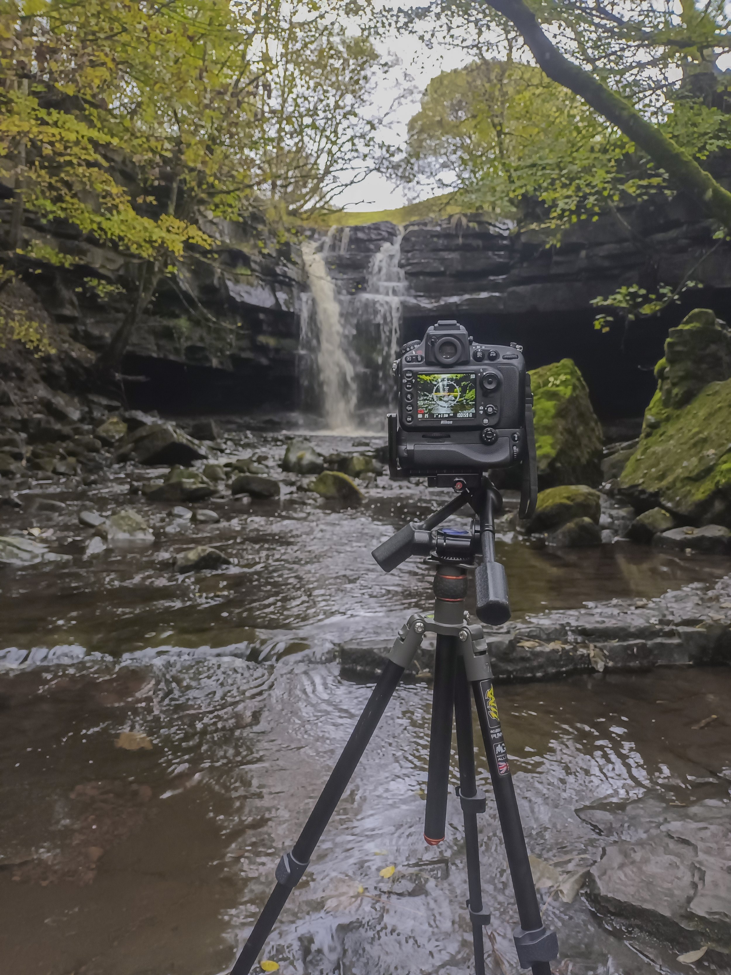 Tales of the riverbank