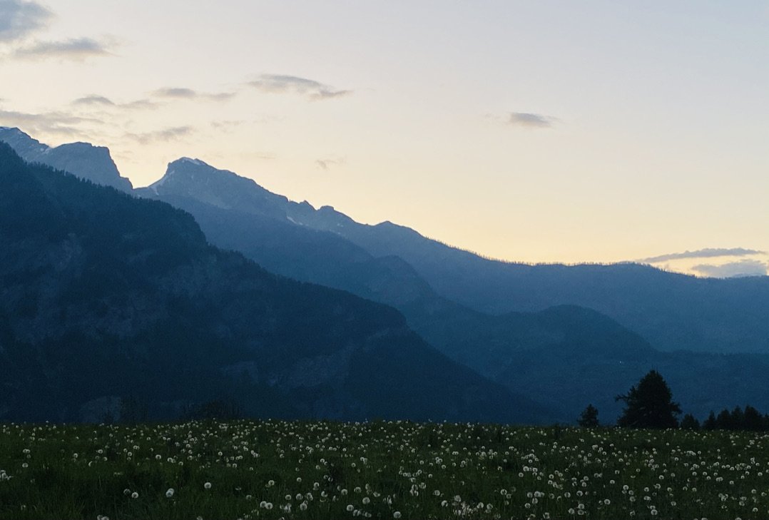 Mountain landscape at sunset with a field of dandelions.