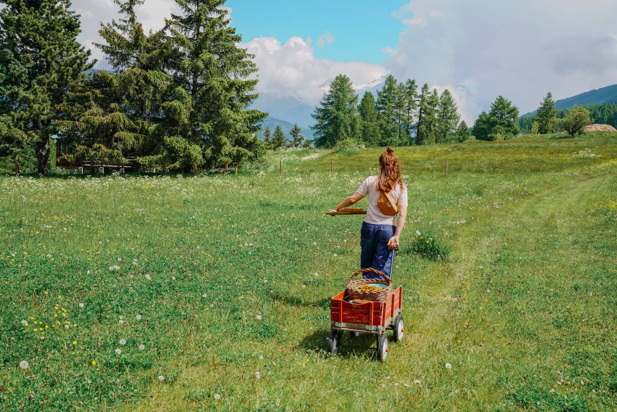 Person pulling red wagon with basket of fruits across green field with trees in background.