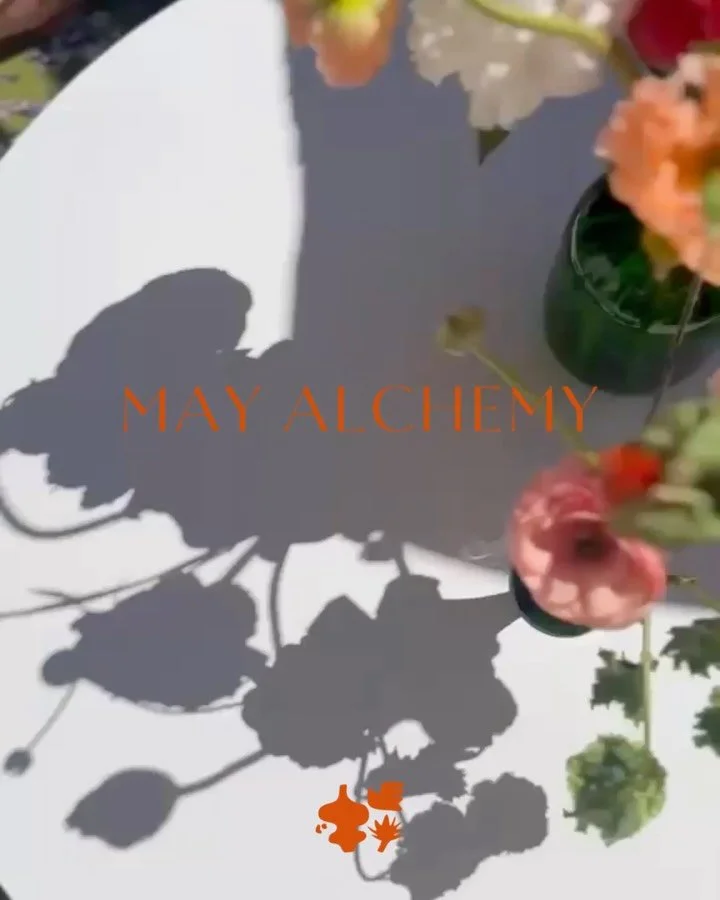 MAY ALCHEMY &mdash; These last months have been a whirlwind and all of a sudden it is May. The studio sessions are picking up and it is such a pleasure to welcome guests, elevate and ground them through sound and frequency, take them to the table and