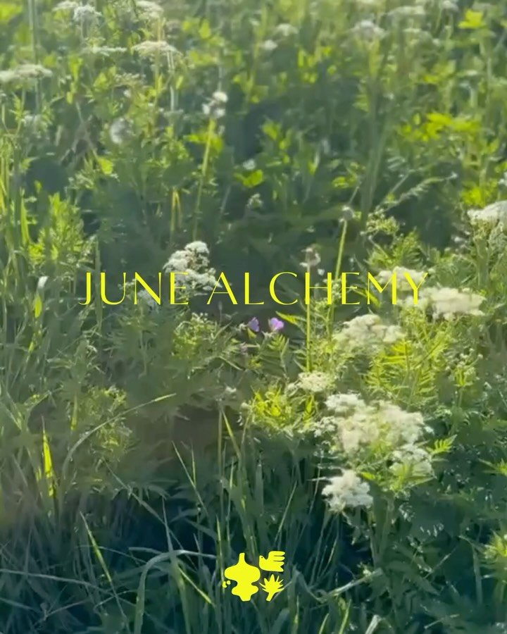 JUNE ALCHEMY &mdash; Summer is here and the heat is rising! What could be better than a few days in the fresh mountain air? We have a series of beautiful retreats coming up and a few spots remain. I am very excited to join Lorenzo Travaglini at the C