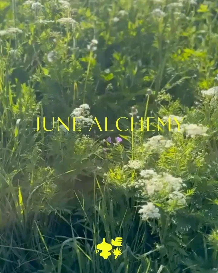 JUNE ALCHEMY &mdash; Summer is here and the heat is rising! What could be better than a few days in the fresh mountain air? We have a series of beautiful retreats coming up and a few spots remain. I am very excited to join Lorenzo Travaglini at the C
