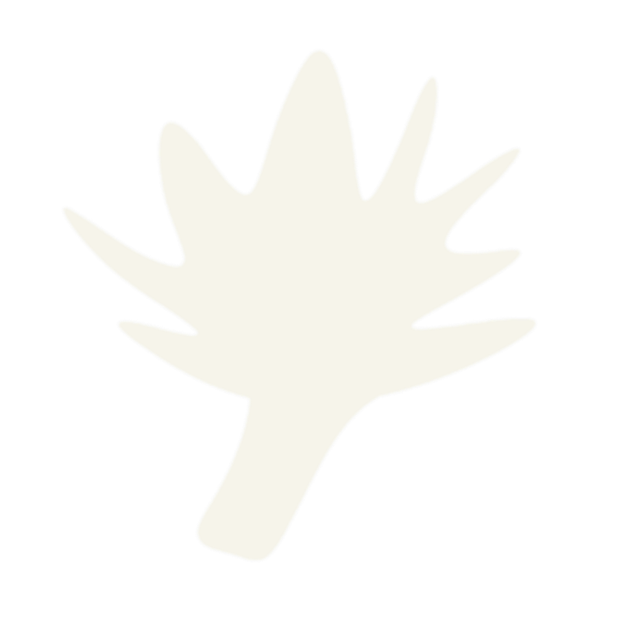 A computer generated silhouette of a hand with palm open, reaching upward.