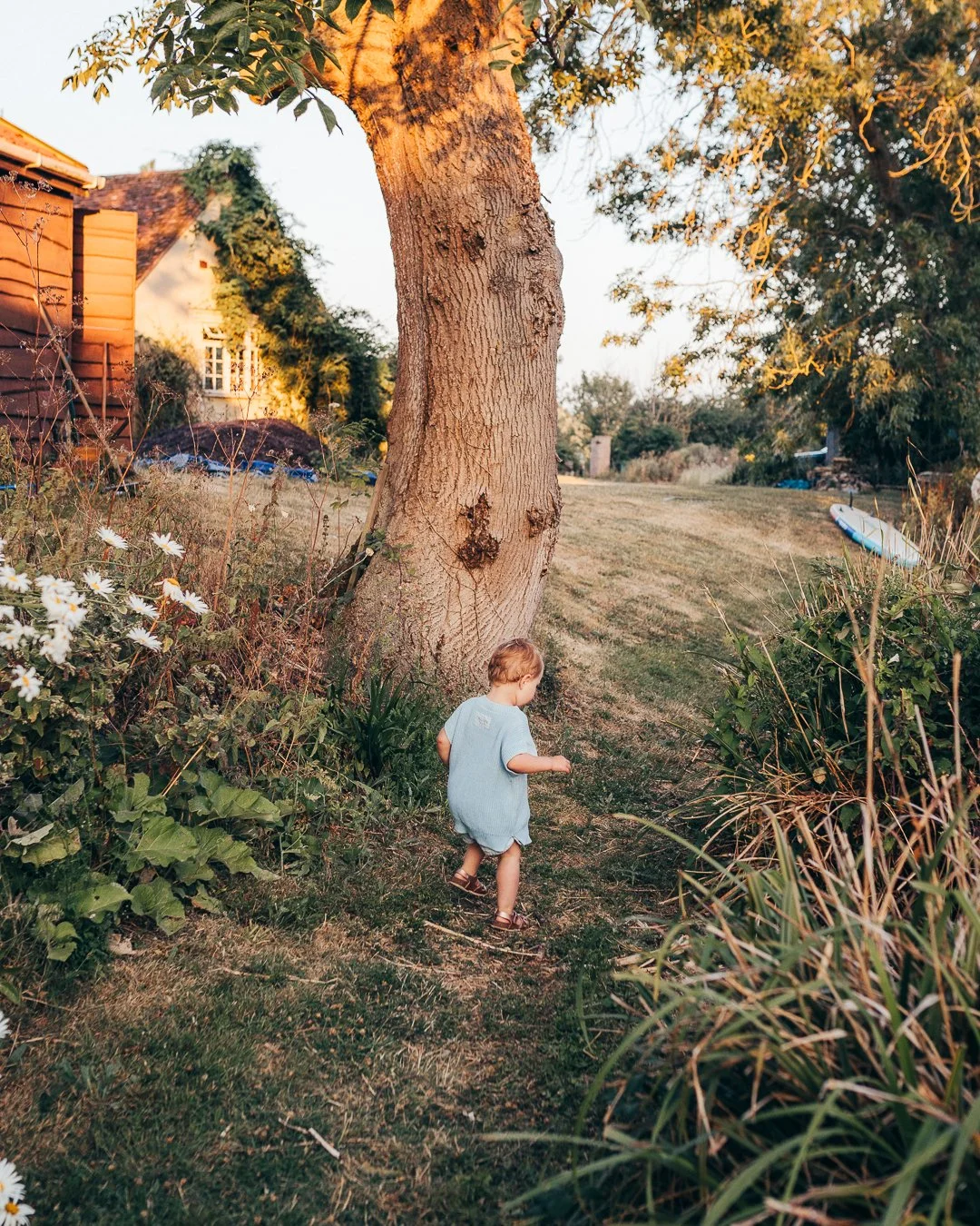 Toddler running through the wildflowers during a natural family photoshoot in Essex.