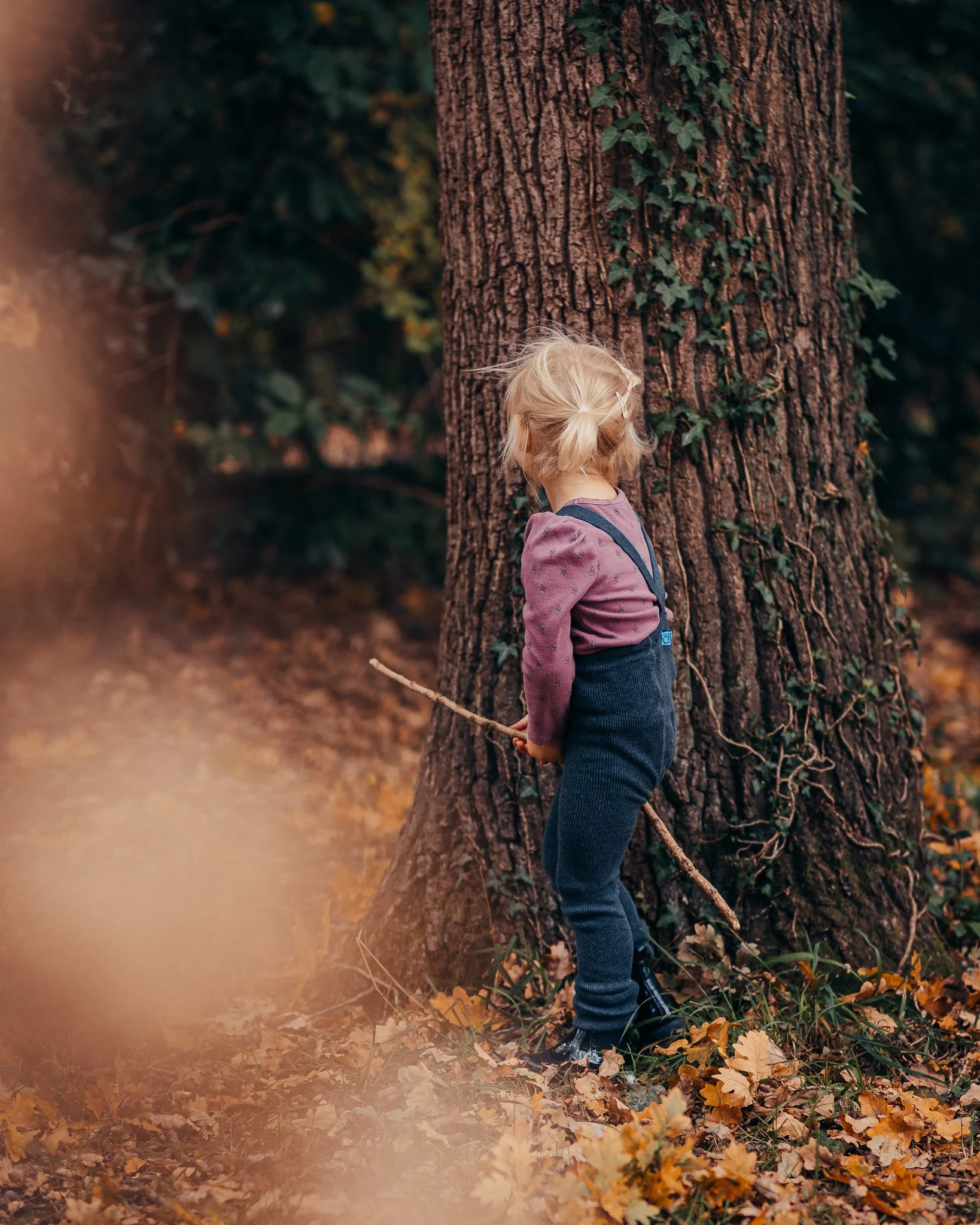 Child enjoying imaginative play among autumn leaves in an Essex country park.