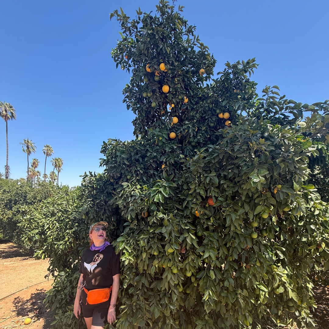 California Citrus Park (1).png