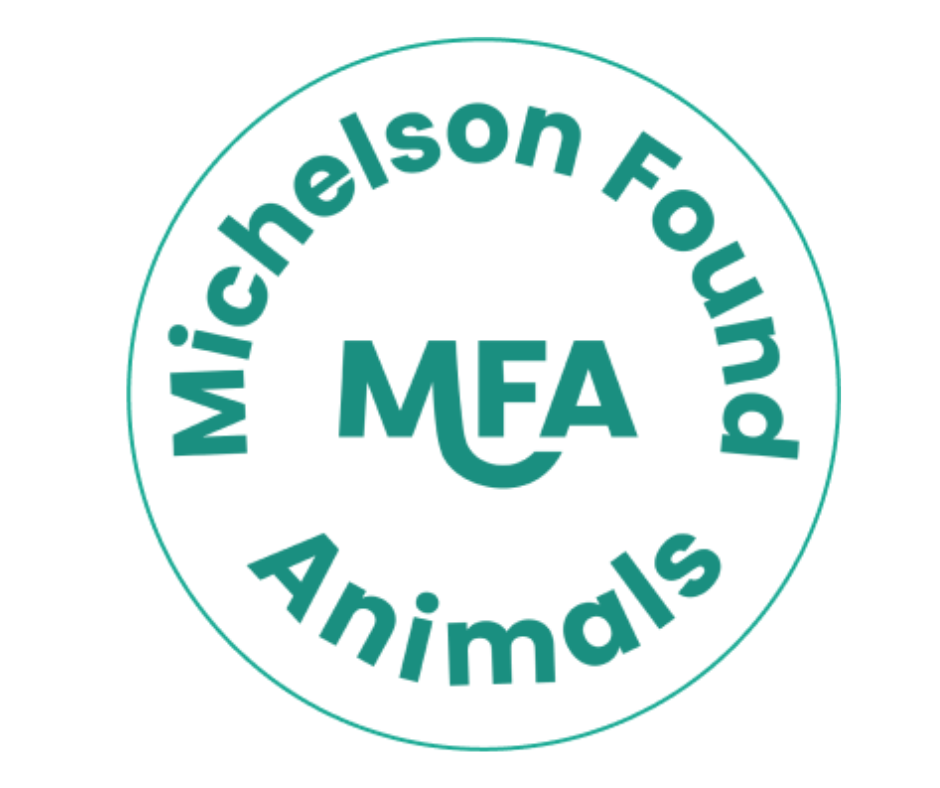 MFA (1).png