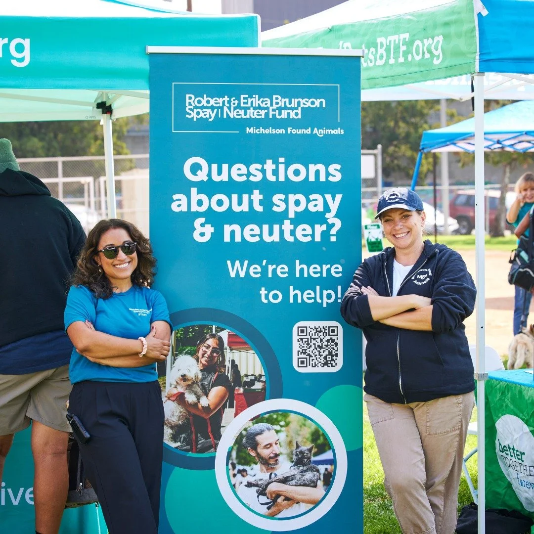 Michelson Found Animals Foundation Spay & Neuter Launch Campaign